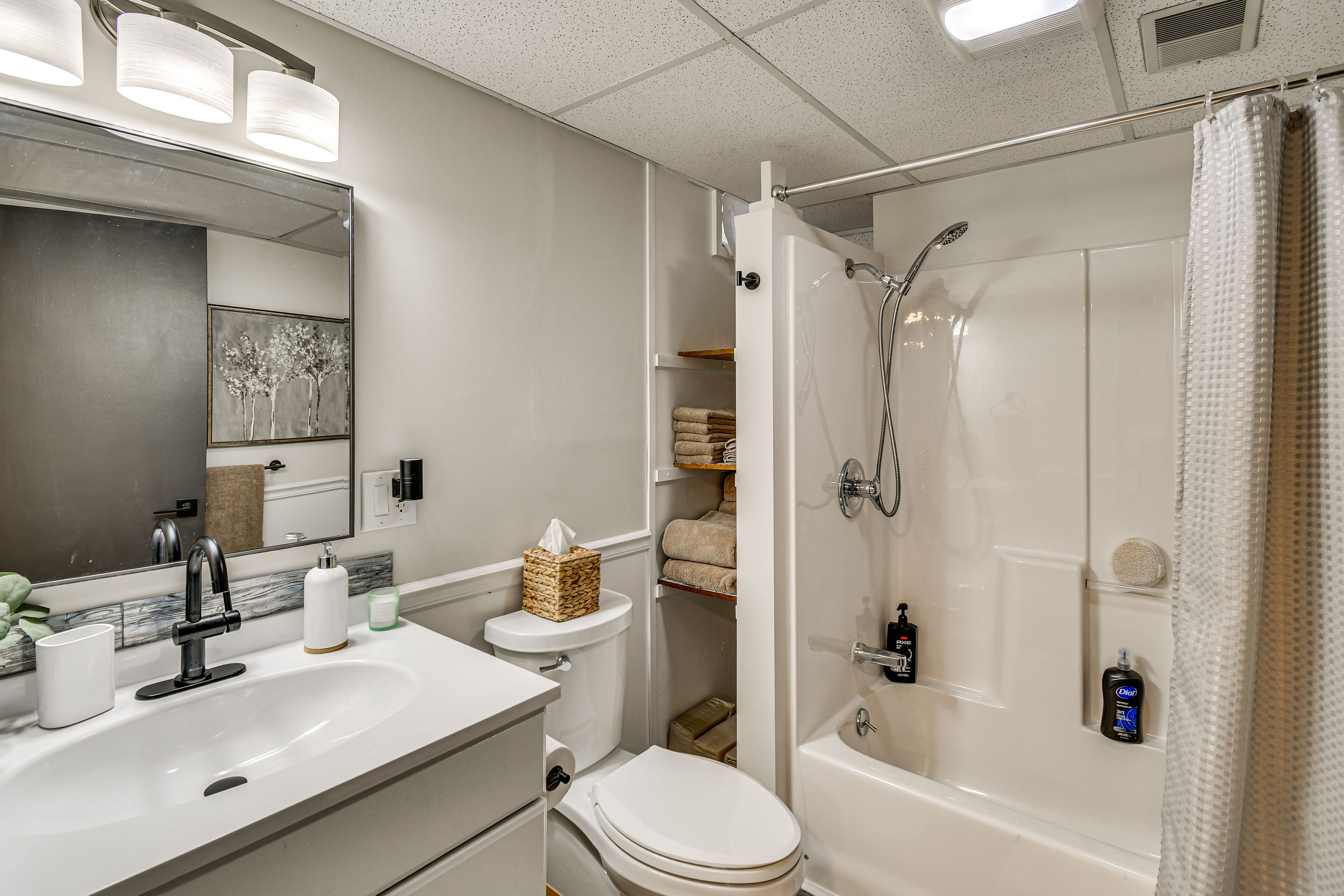 Bathroom | Basement