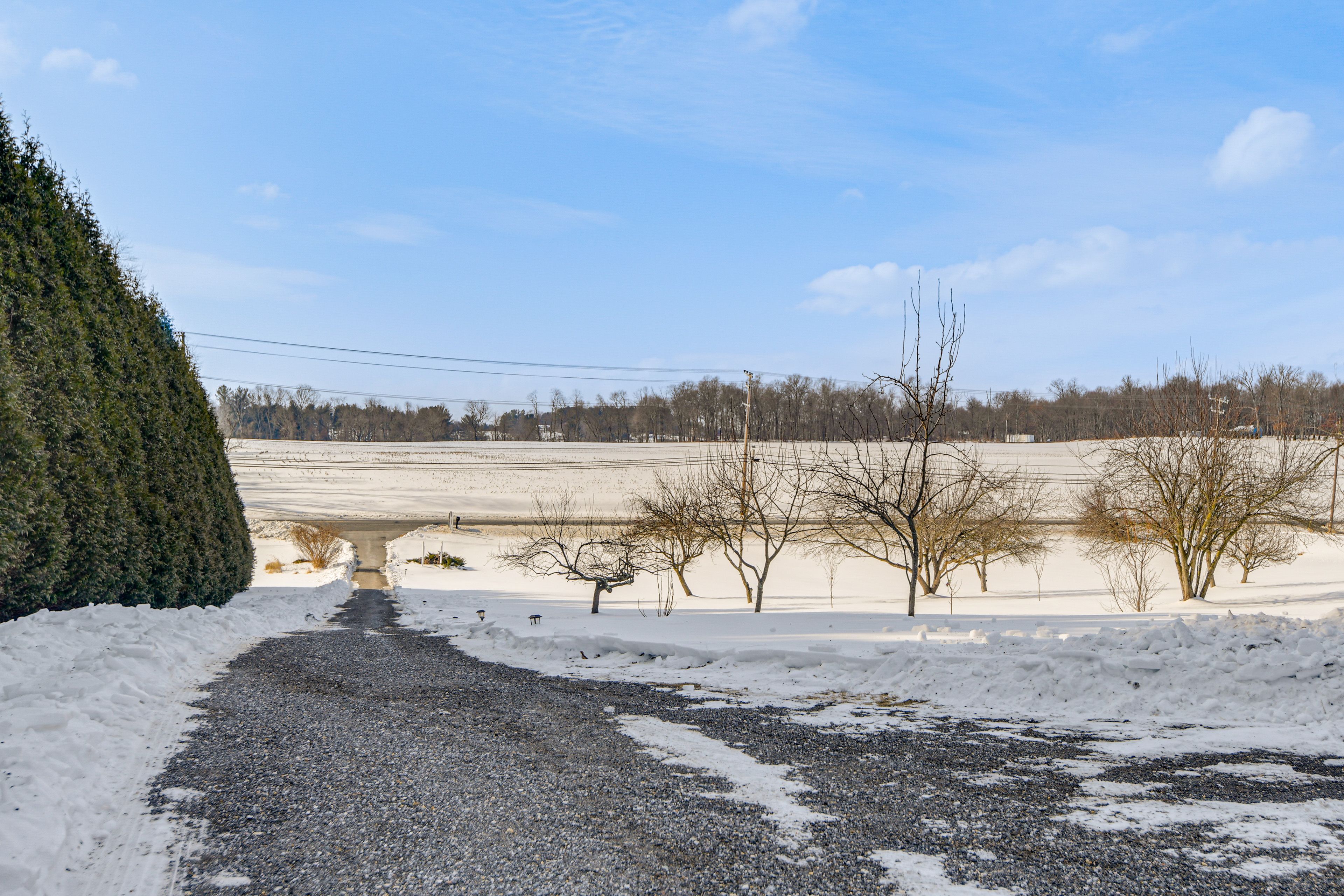 Property Surroundings