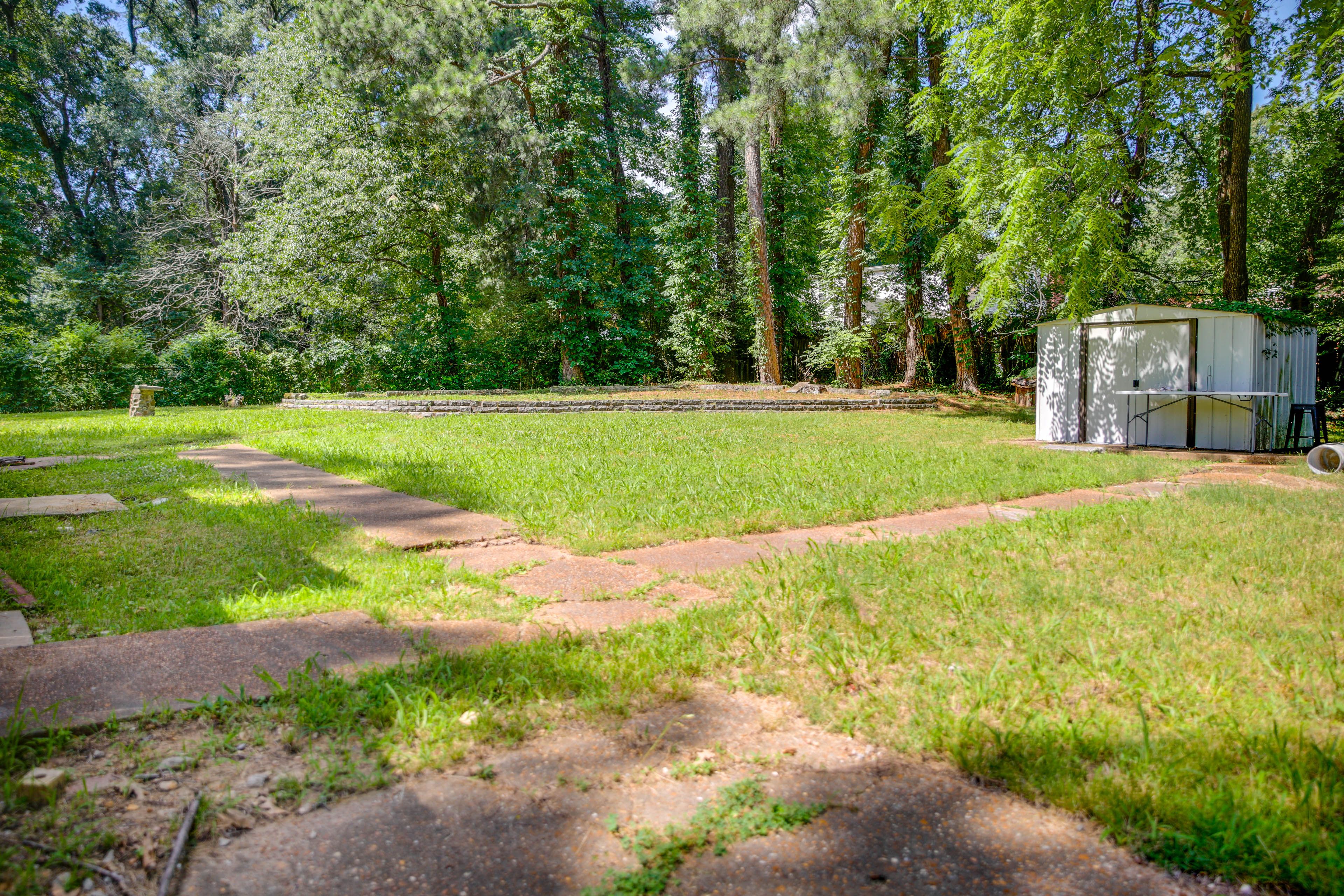 Spacious Yard
