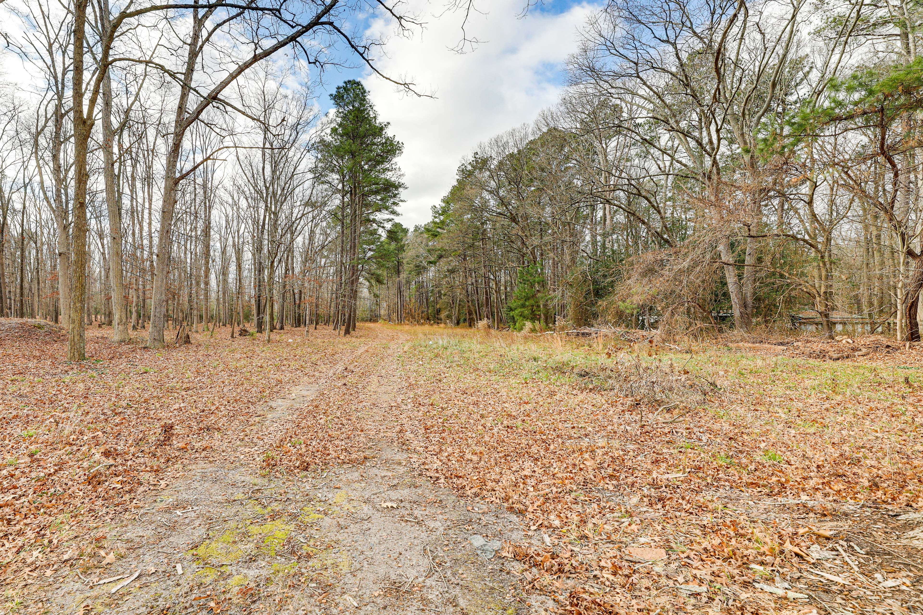 Property Surroundings