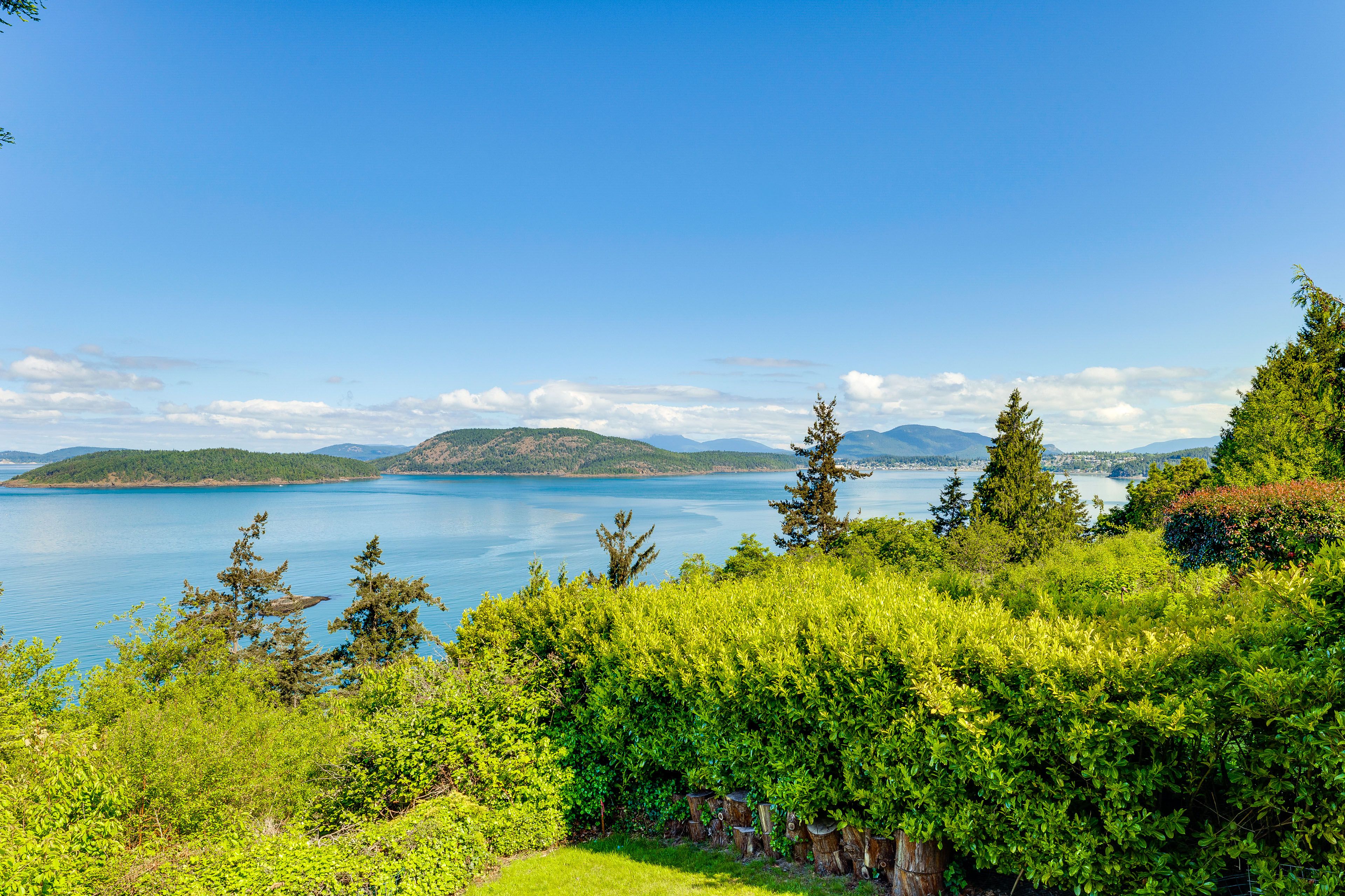 View From Deck
