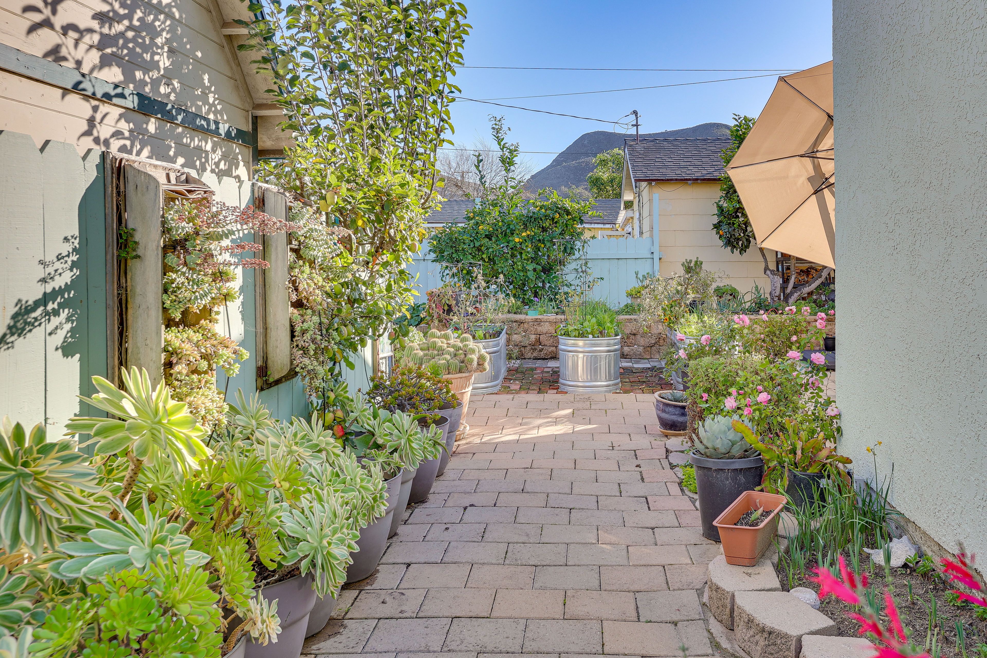 Studio Exterior | Lush Garden | Fruit Trees