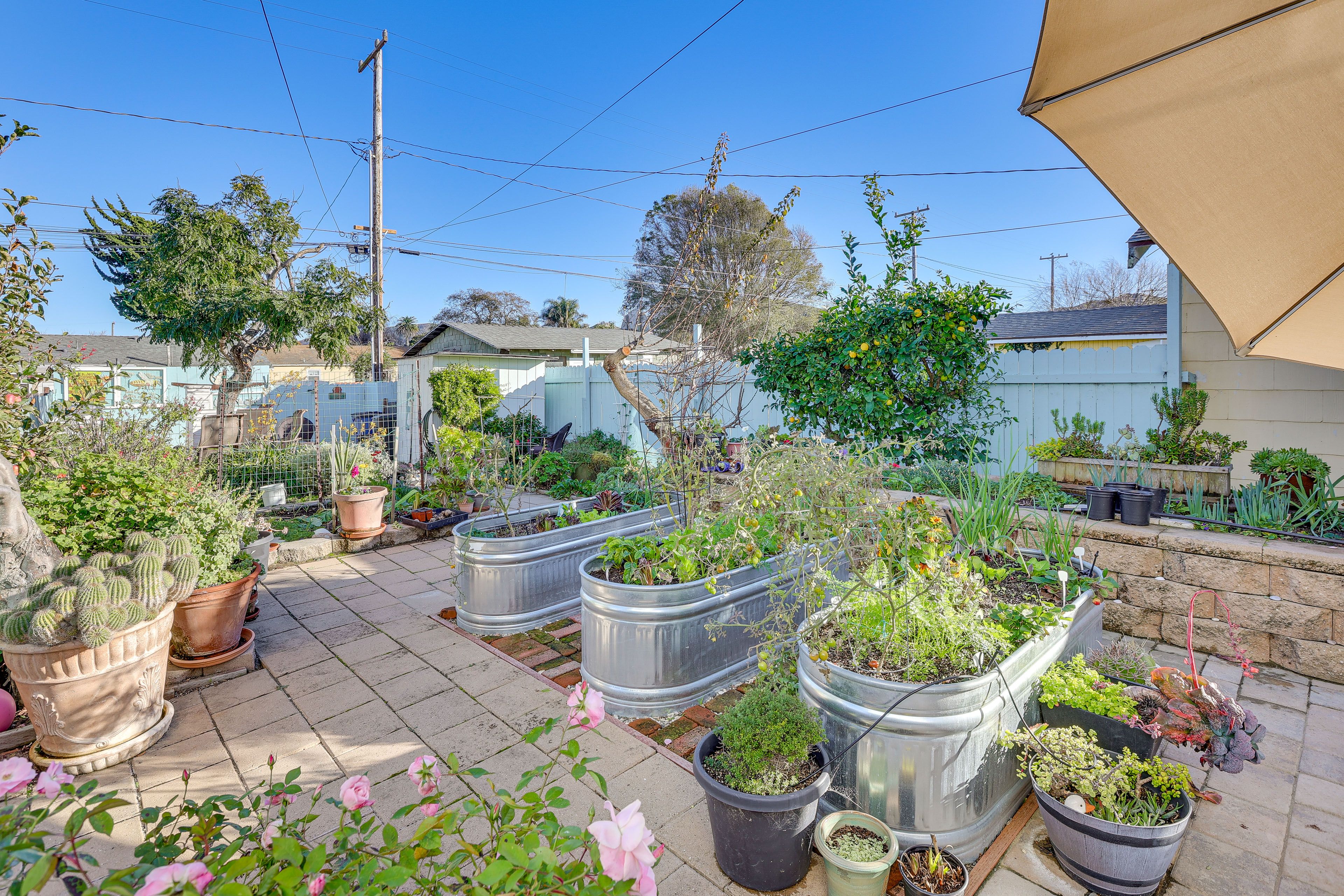 Studio Exterior | Lush Garden | Fruit Trees
