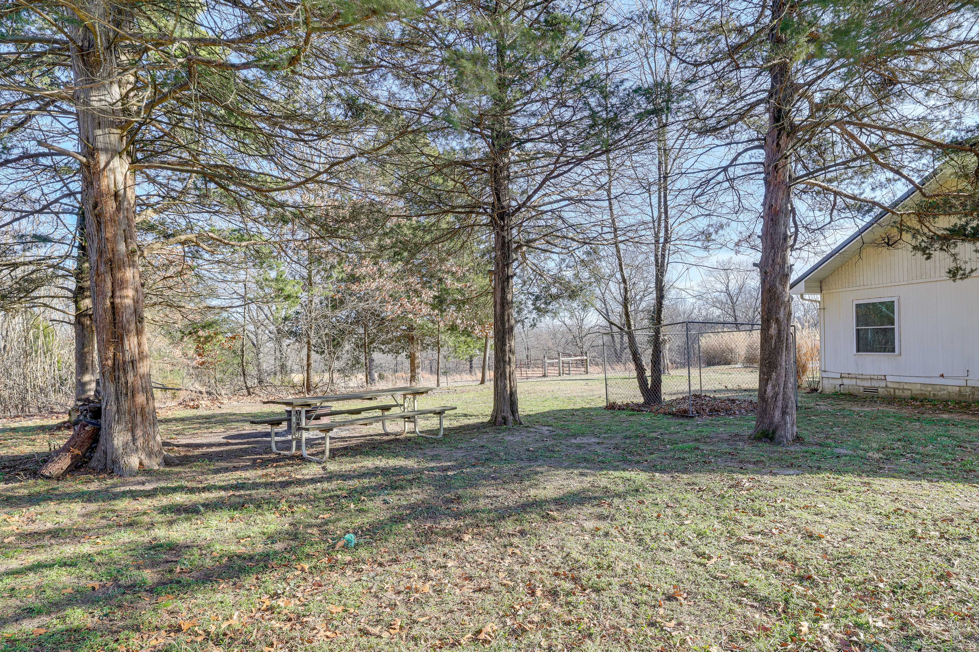 Backyard | Dog Kennel