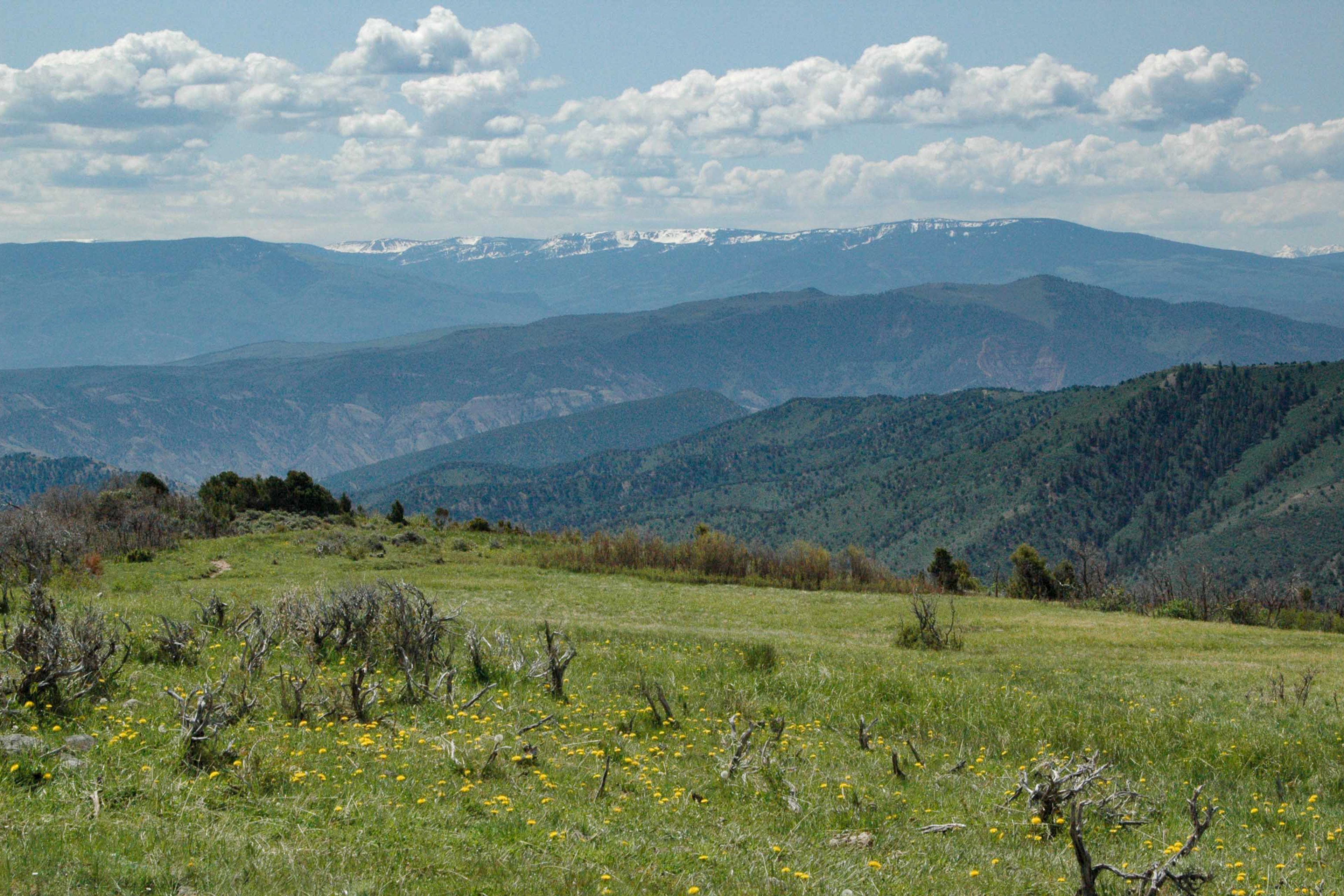 Views | Hiking On-Site