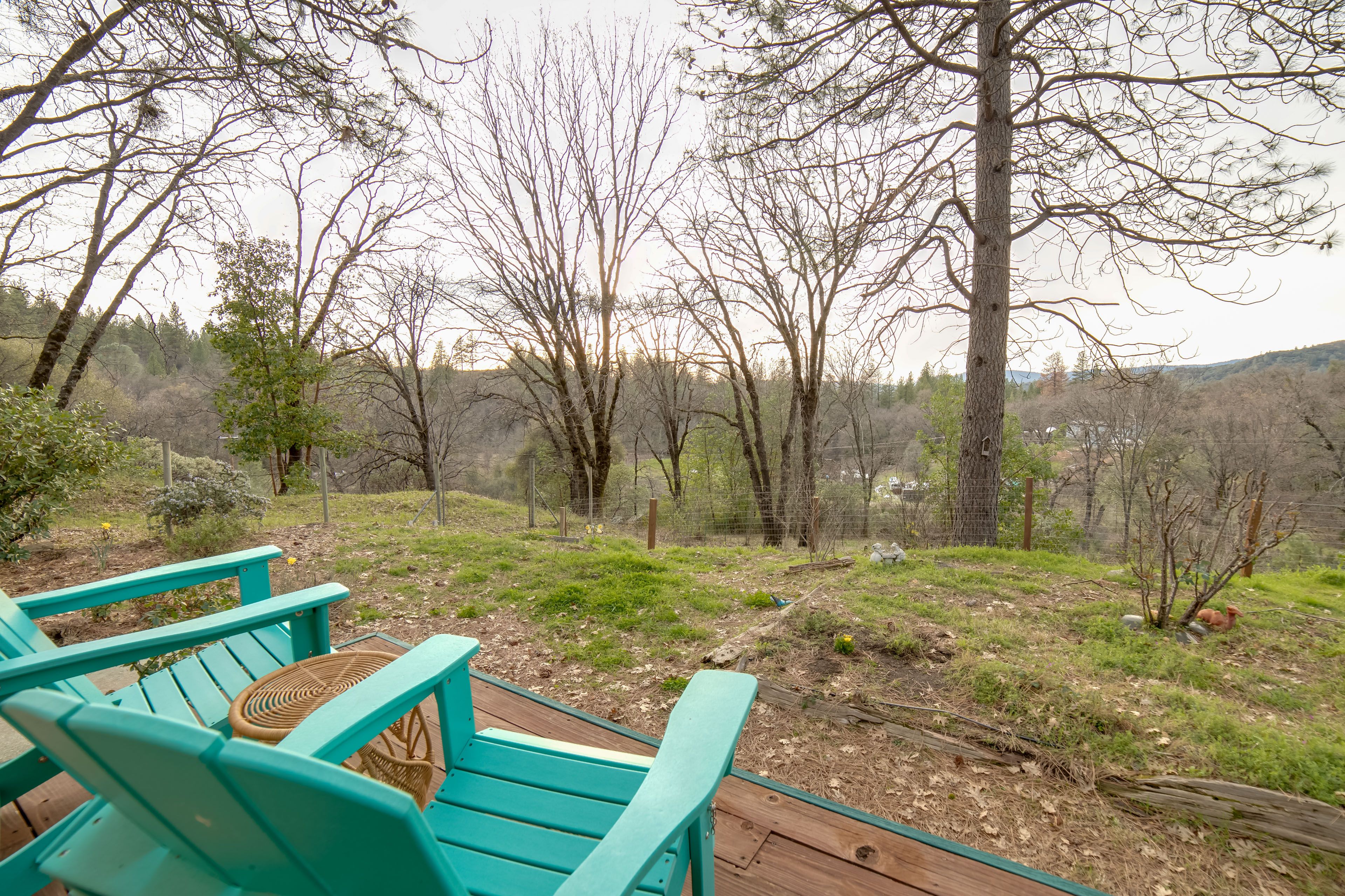 Deck | Mountain & Forest Views