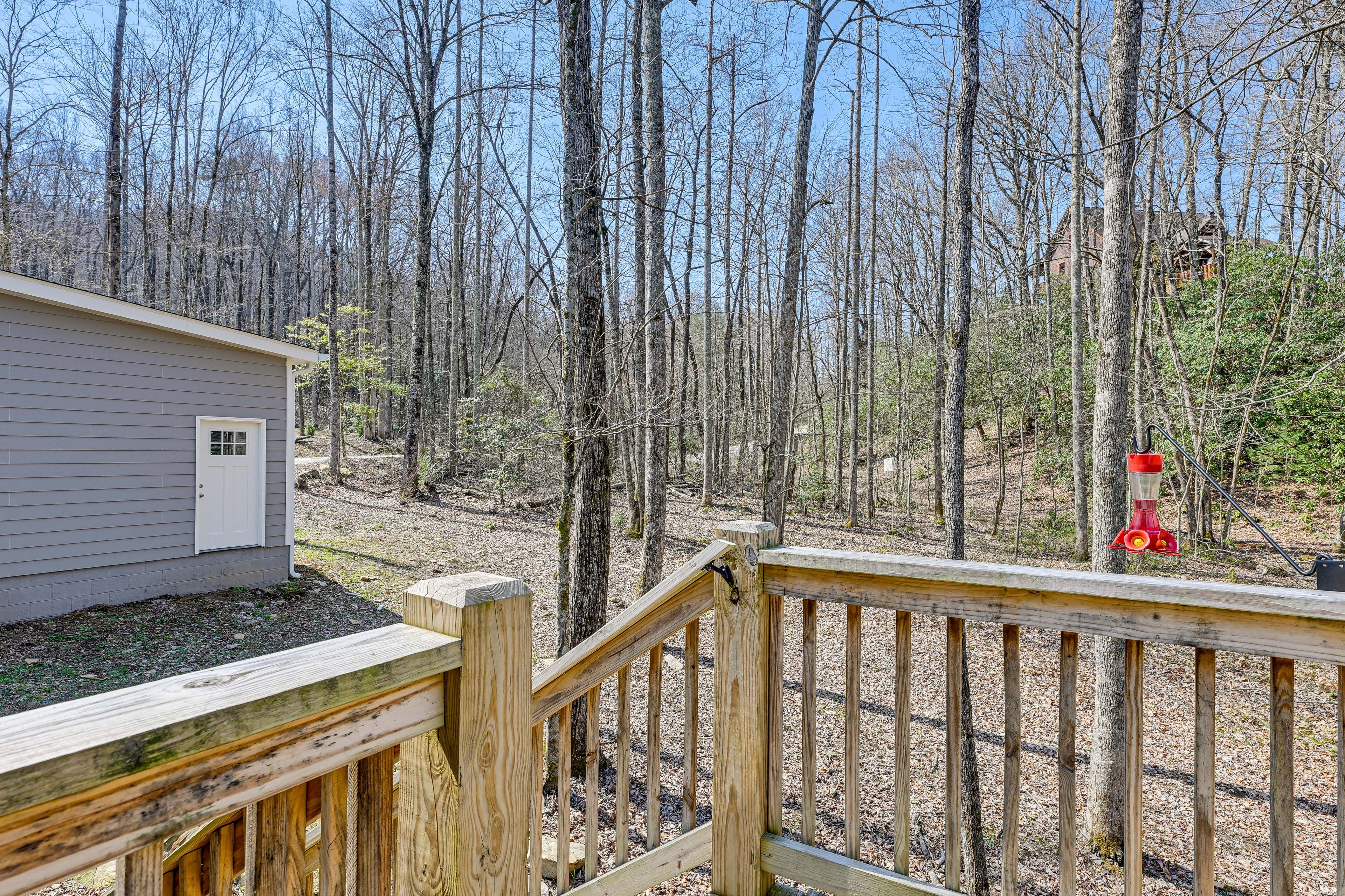 Back Deck