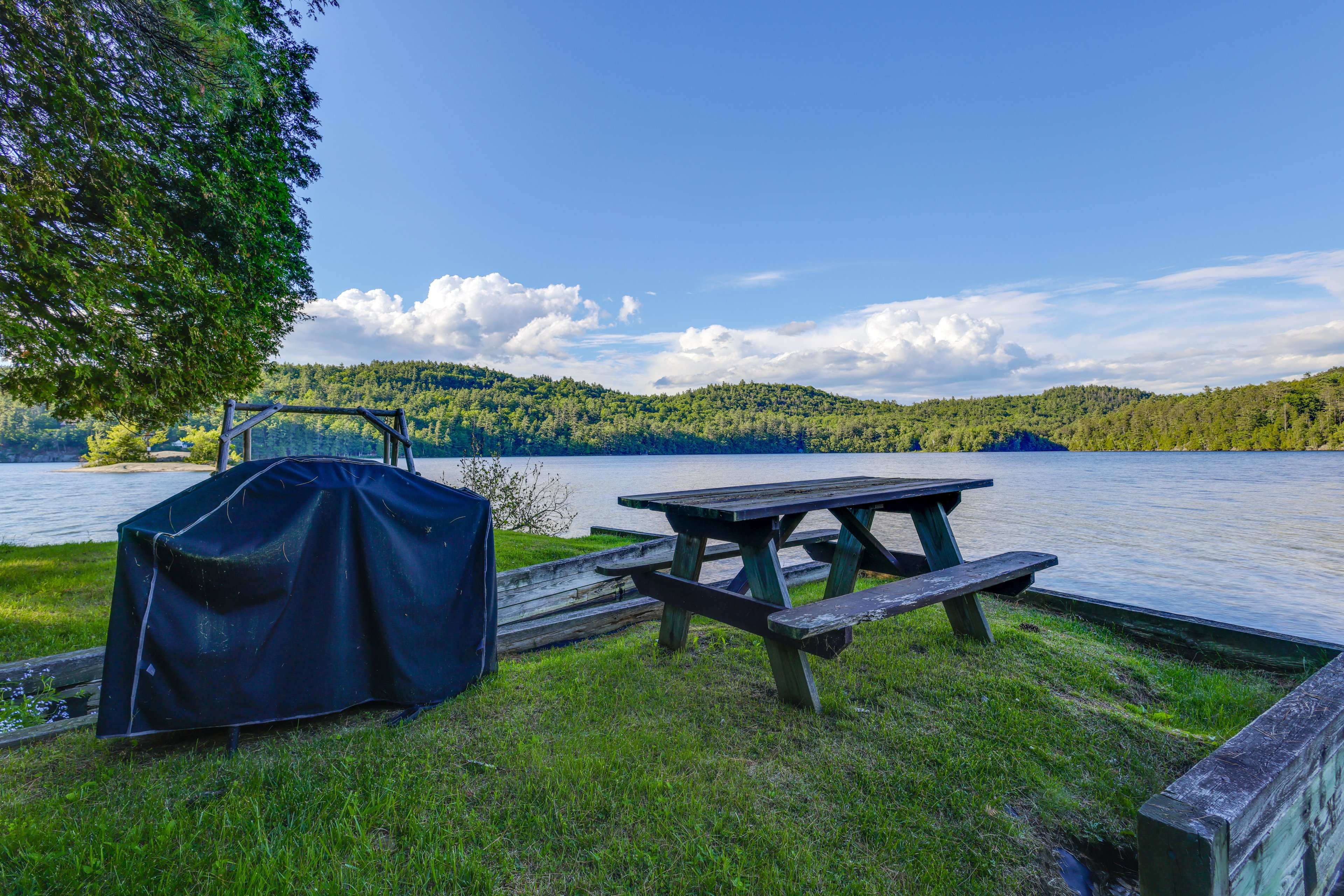 Backyard | Gazebo | Grill | Picnic Table | Fire Pit