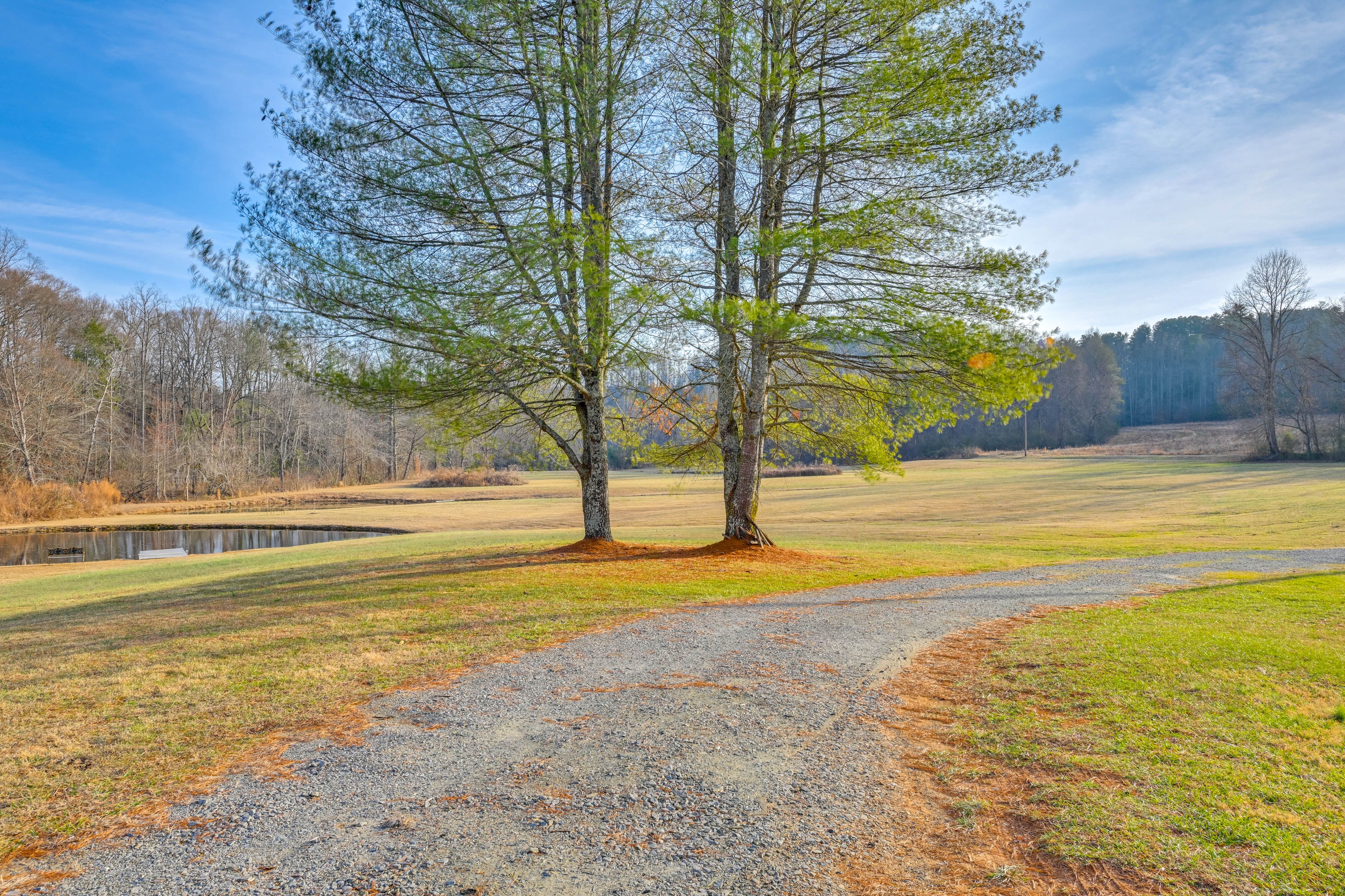 10 Acres of Land | Swimming Pond
