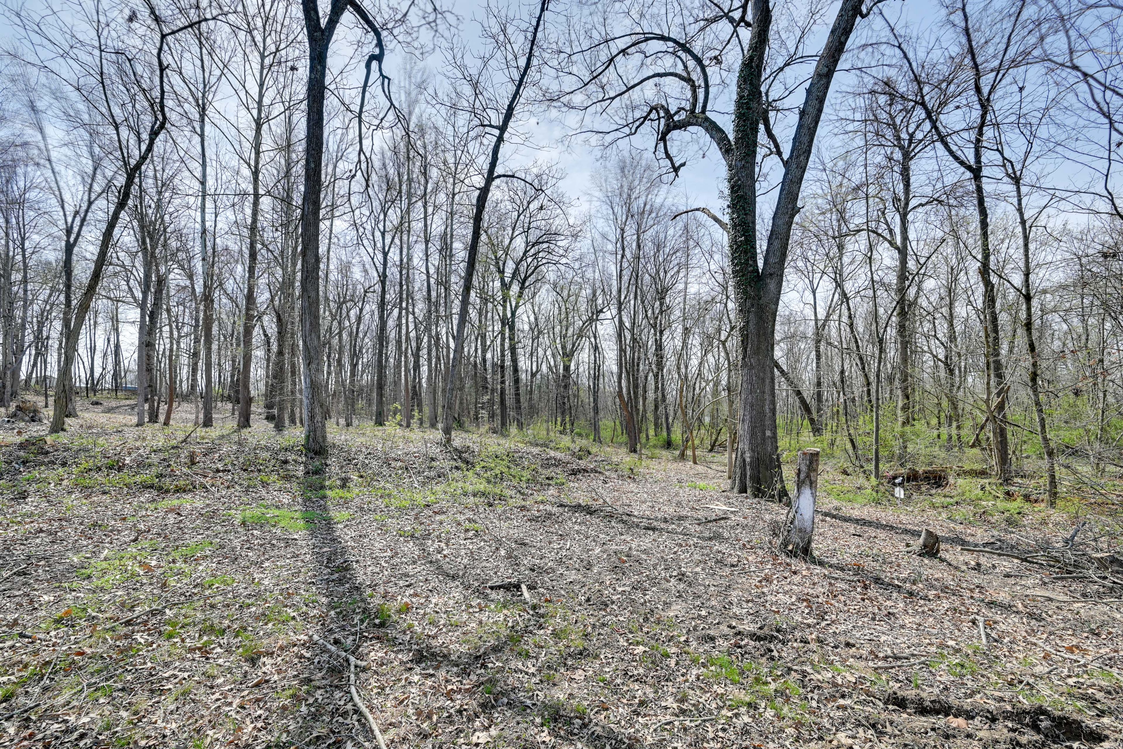 Surrounding Area