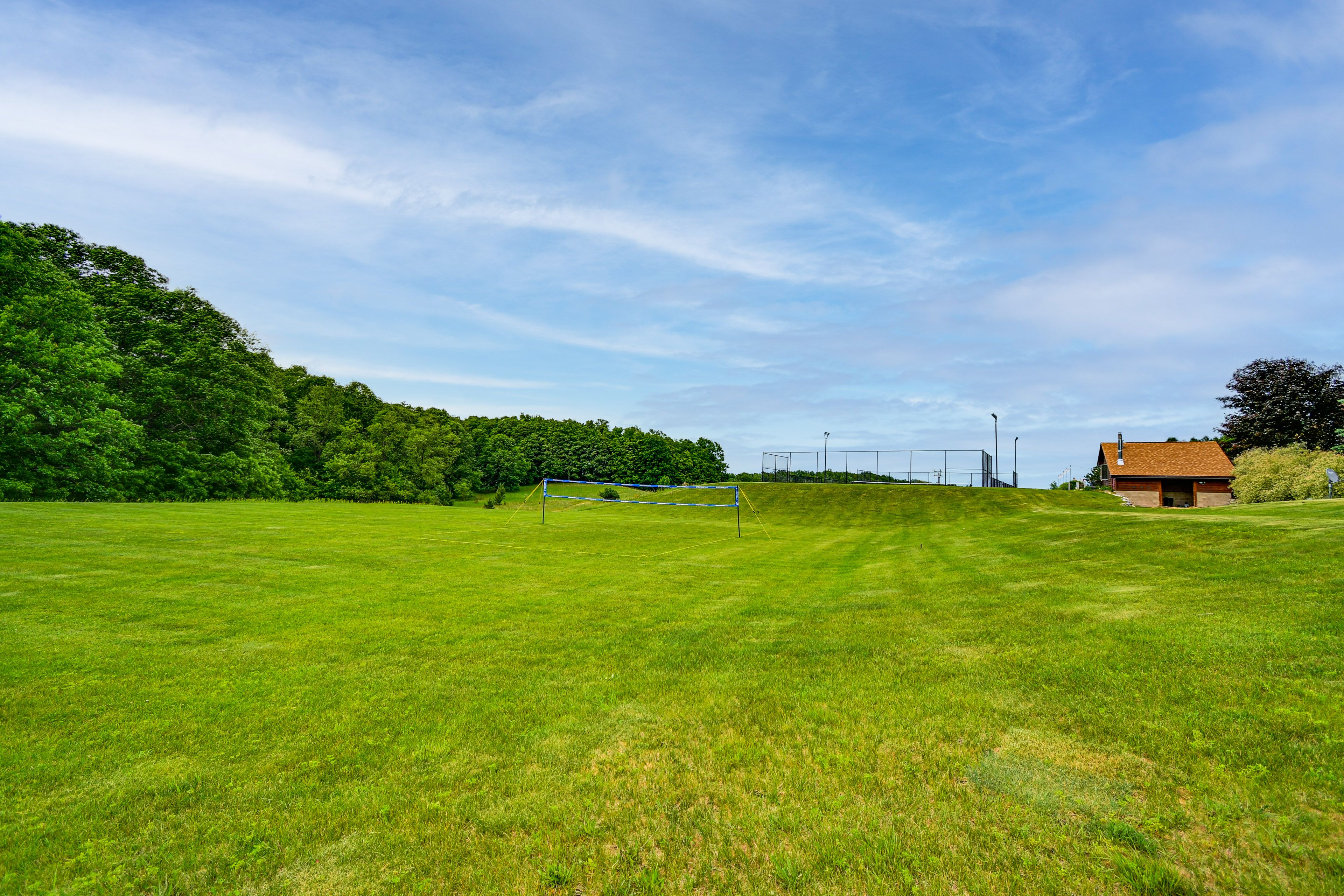 Volleyball Net