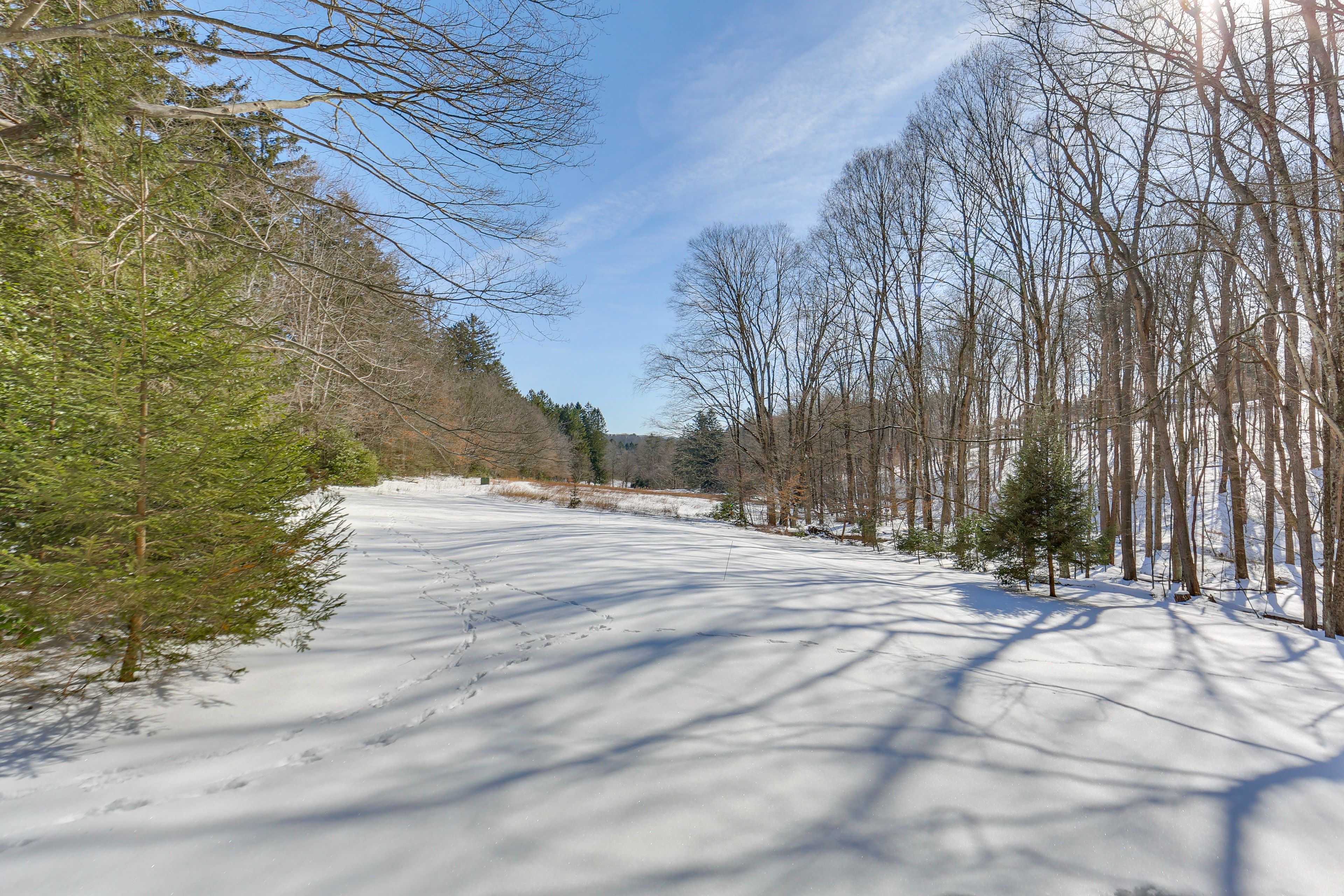 5 Wooded Acres | Nearby Trails