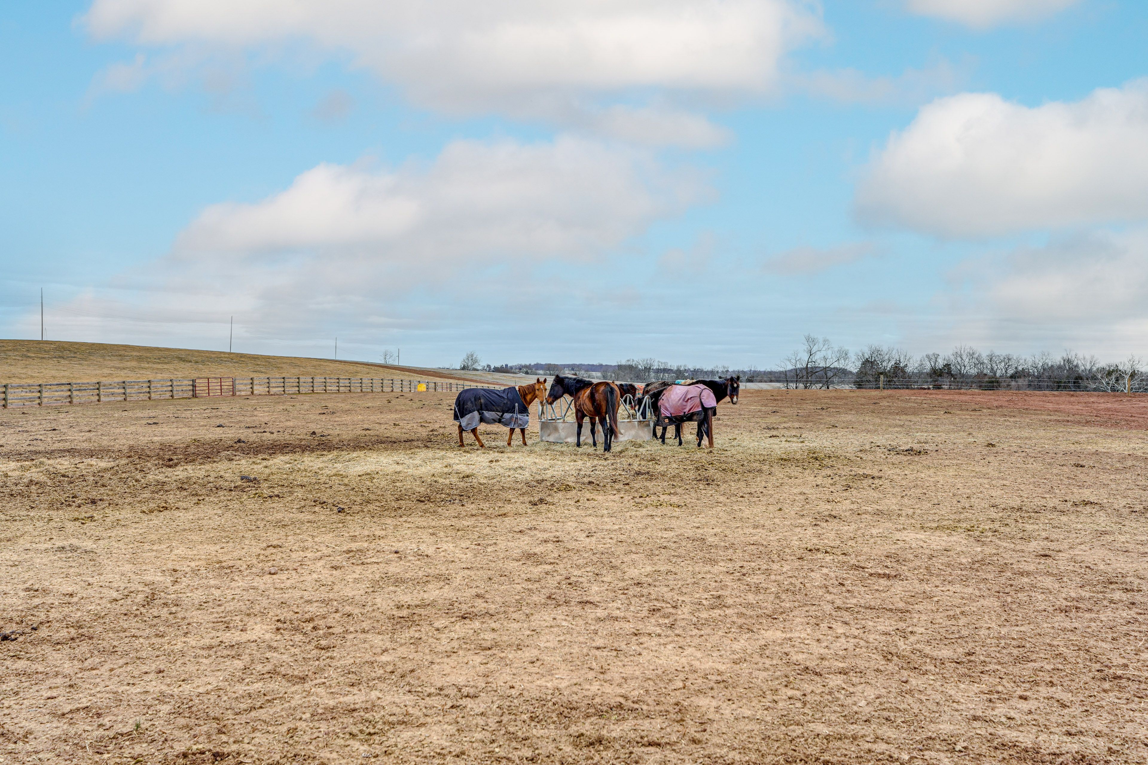 Working Farm w/ Horses On-Site