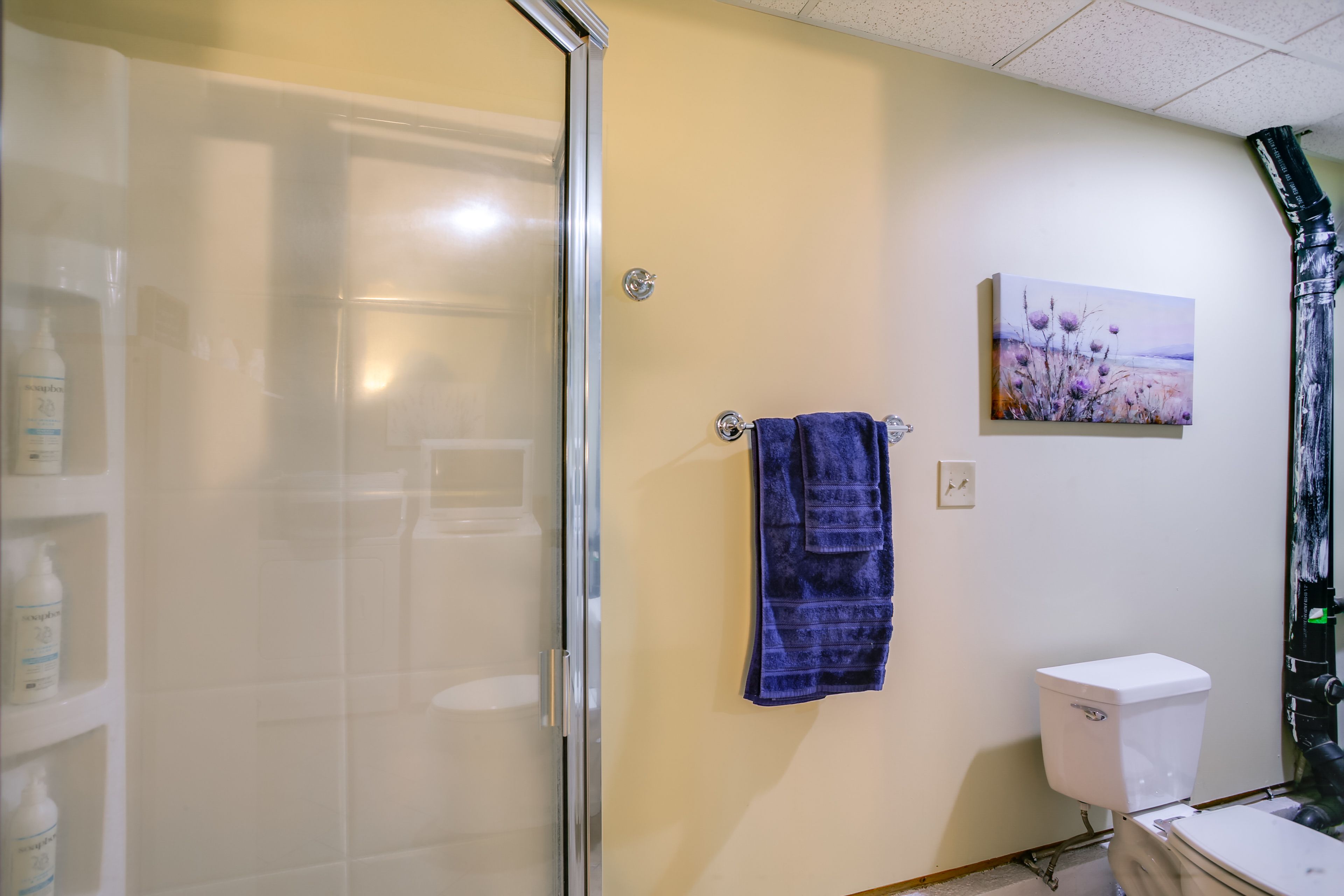 Full Bathroom | Lower Level