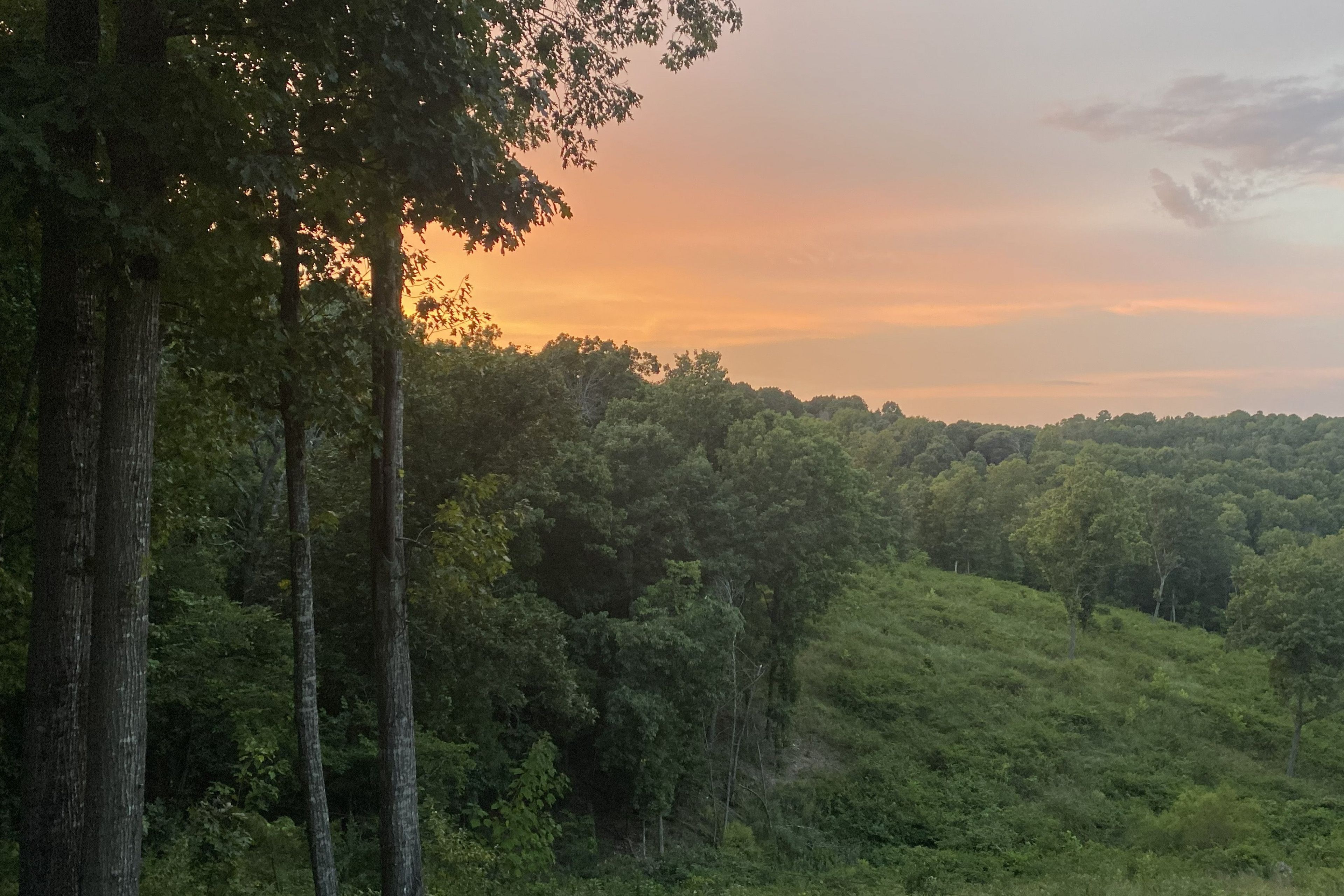 Sunset View