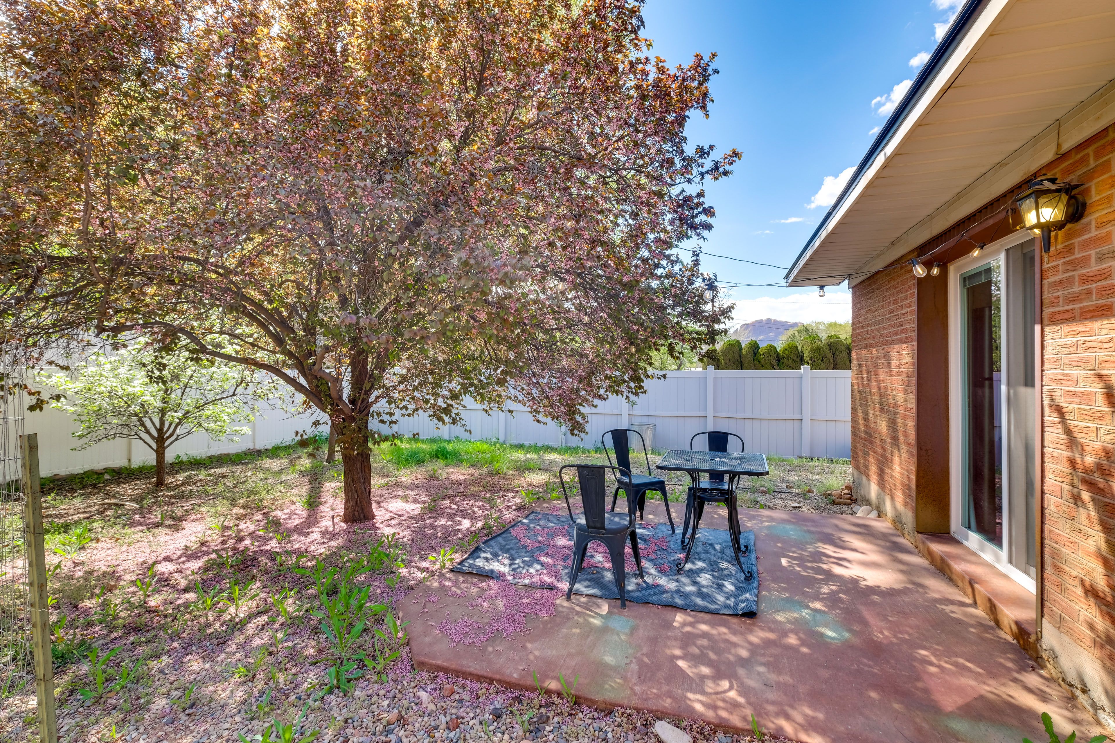 Fenced Backyard | Patio | Dining Area