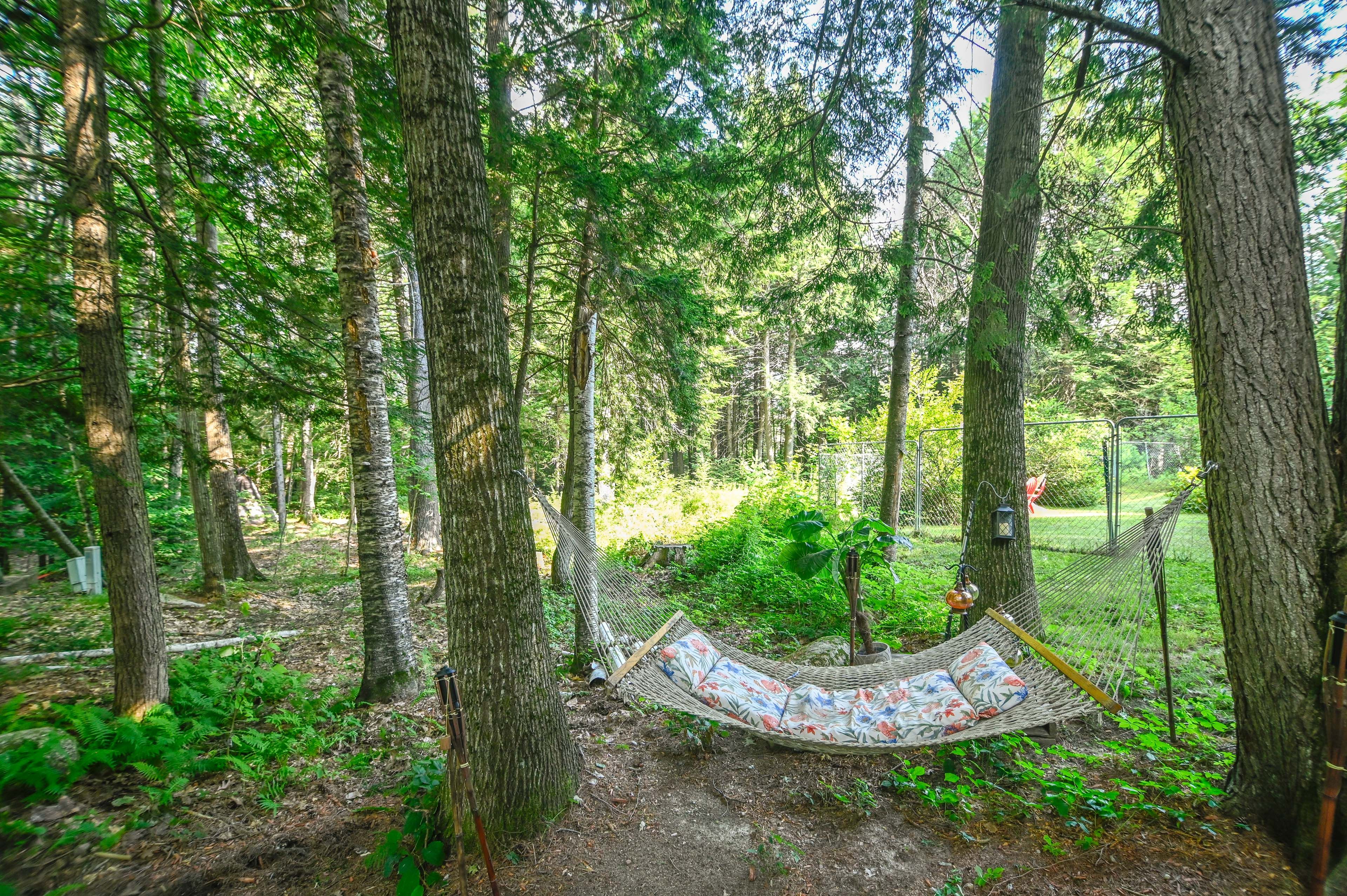 Shared Backyard