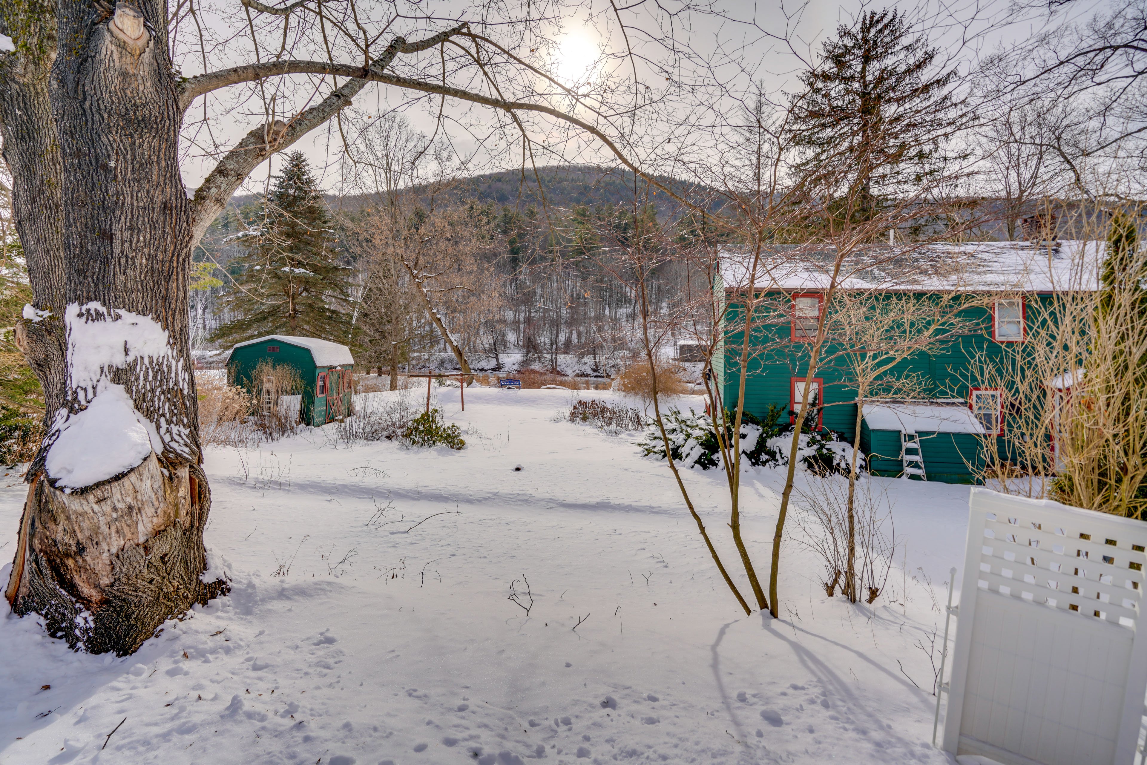 River & Mountain Views
