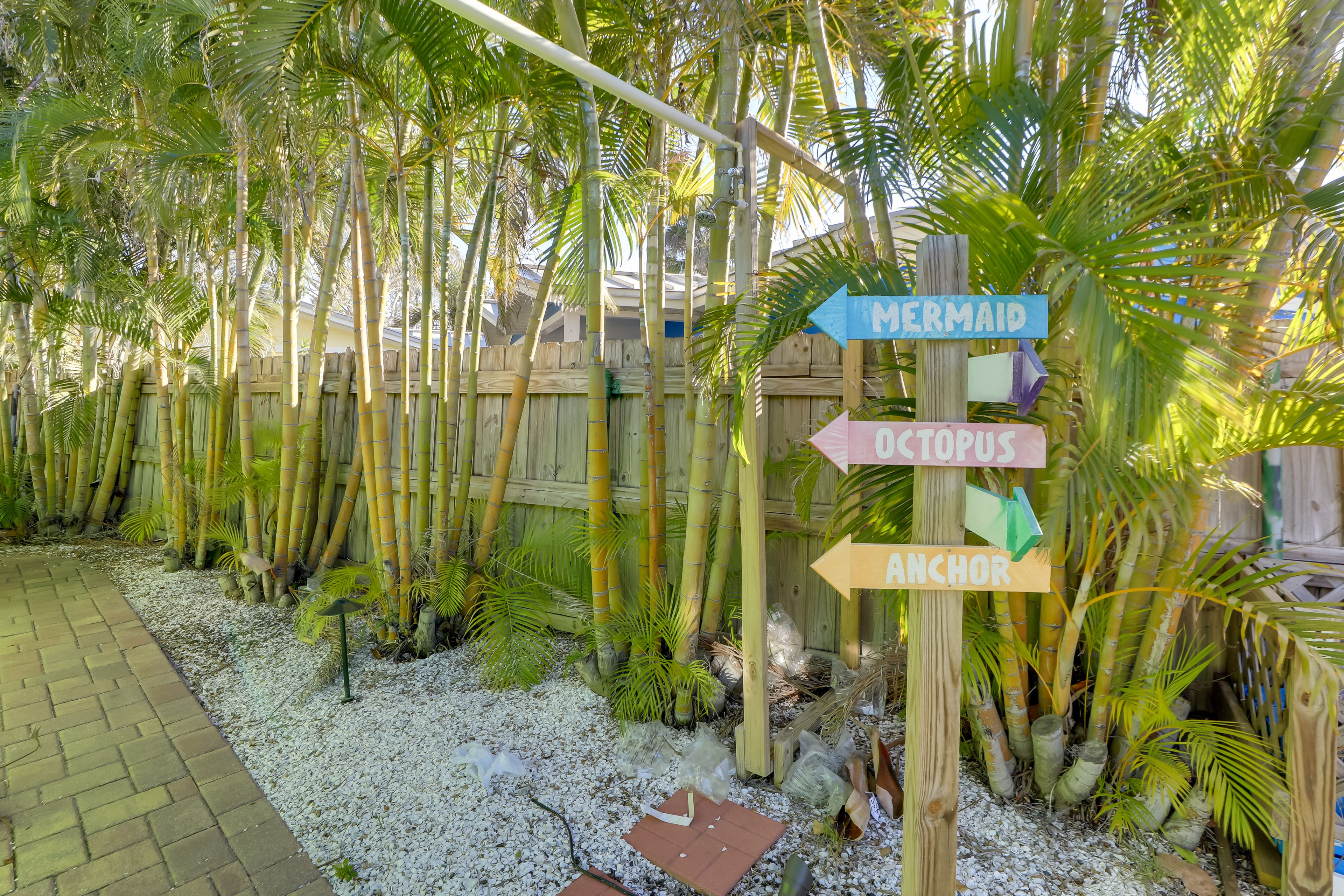 The 'Octopus Suite' at Belle Vista