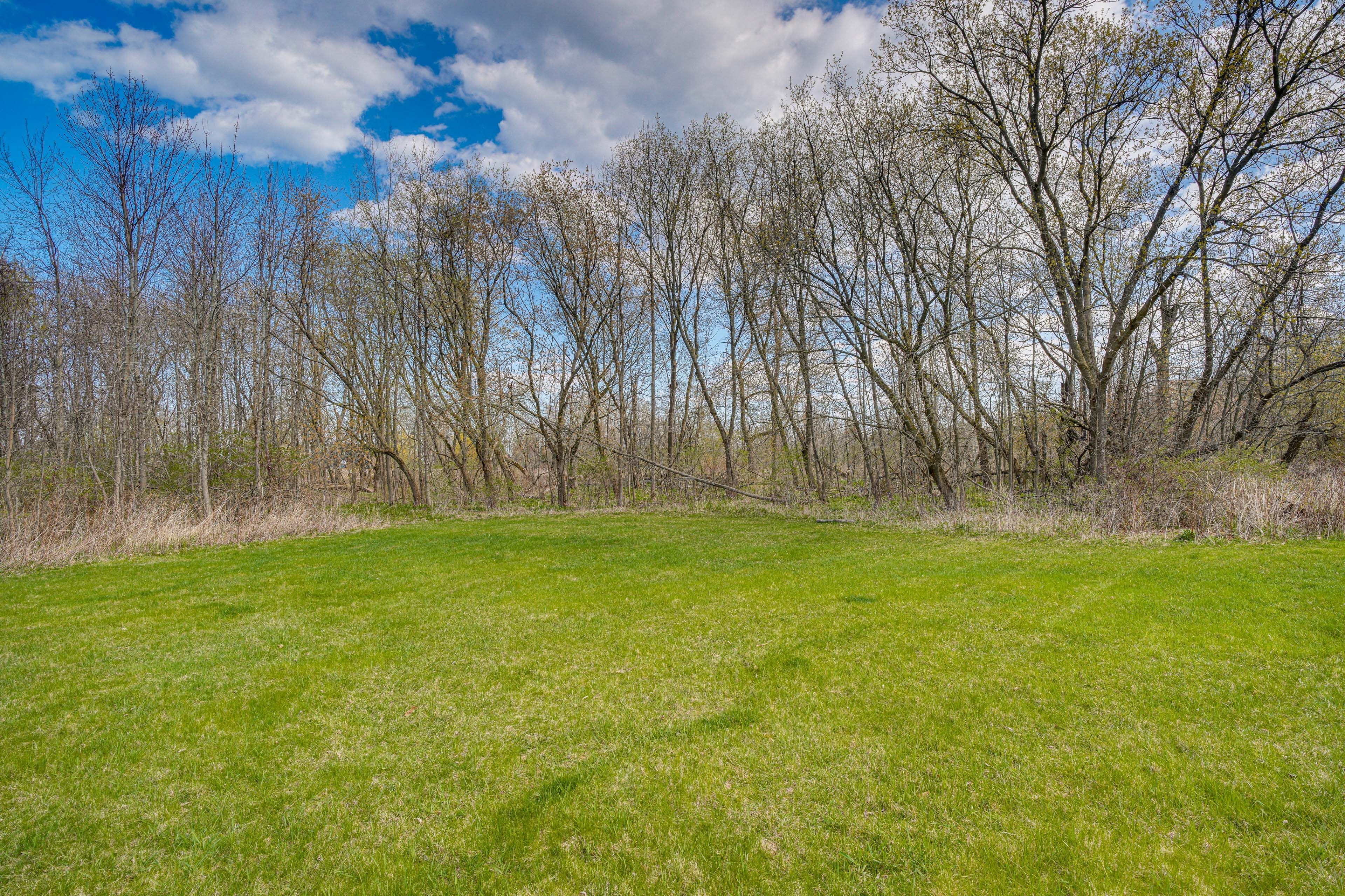 Spacious Yard