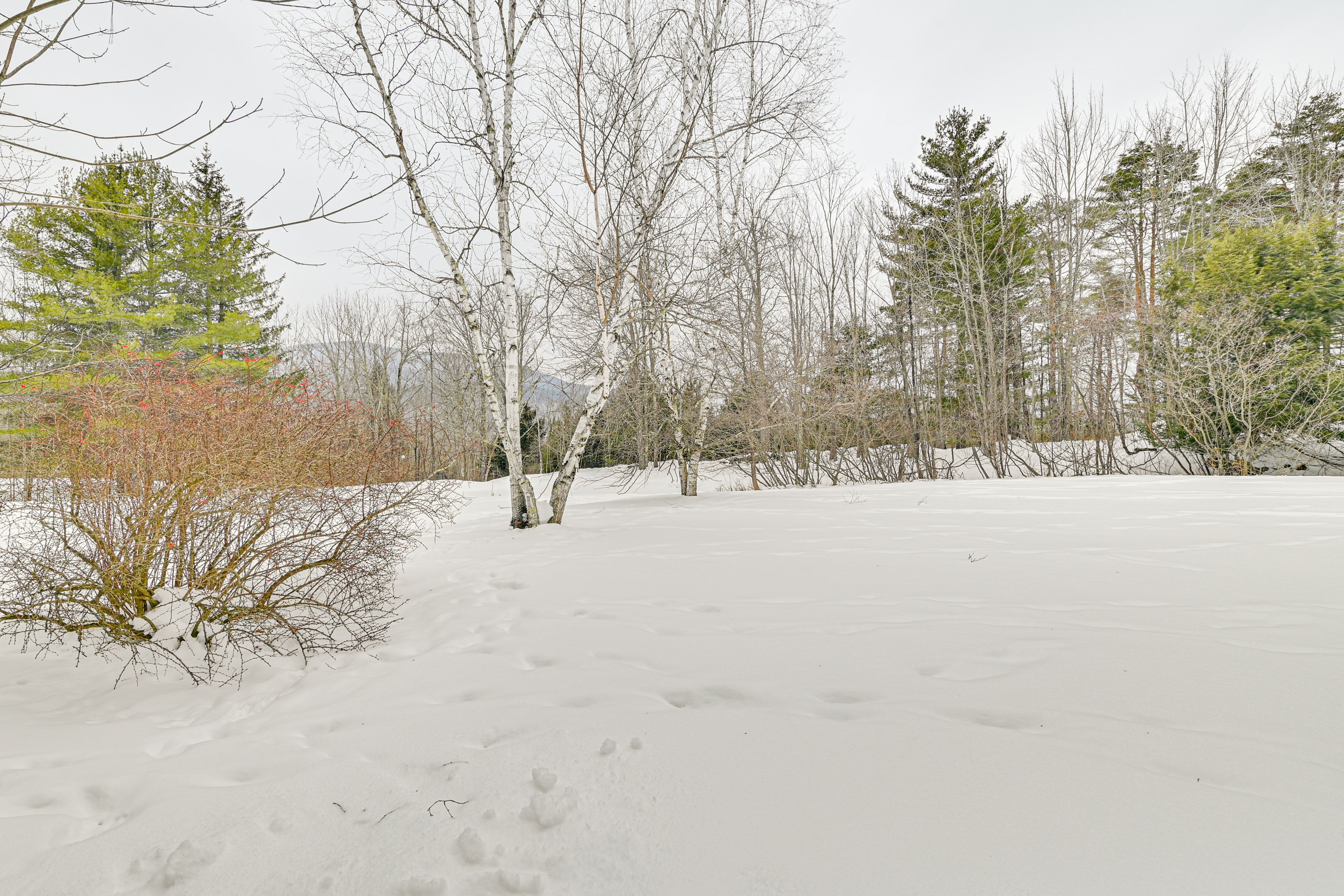 Spacious Yard w/ Mountain Views