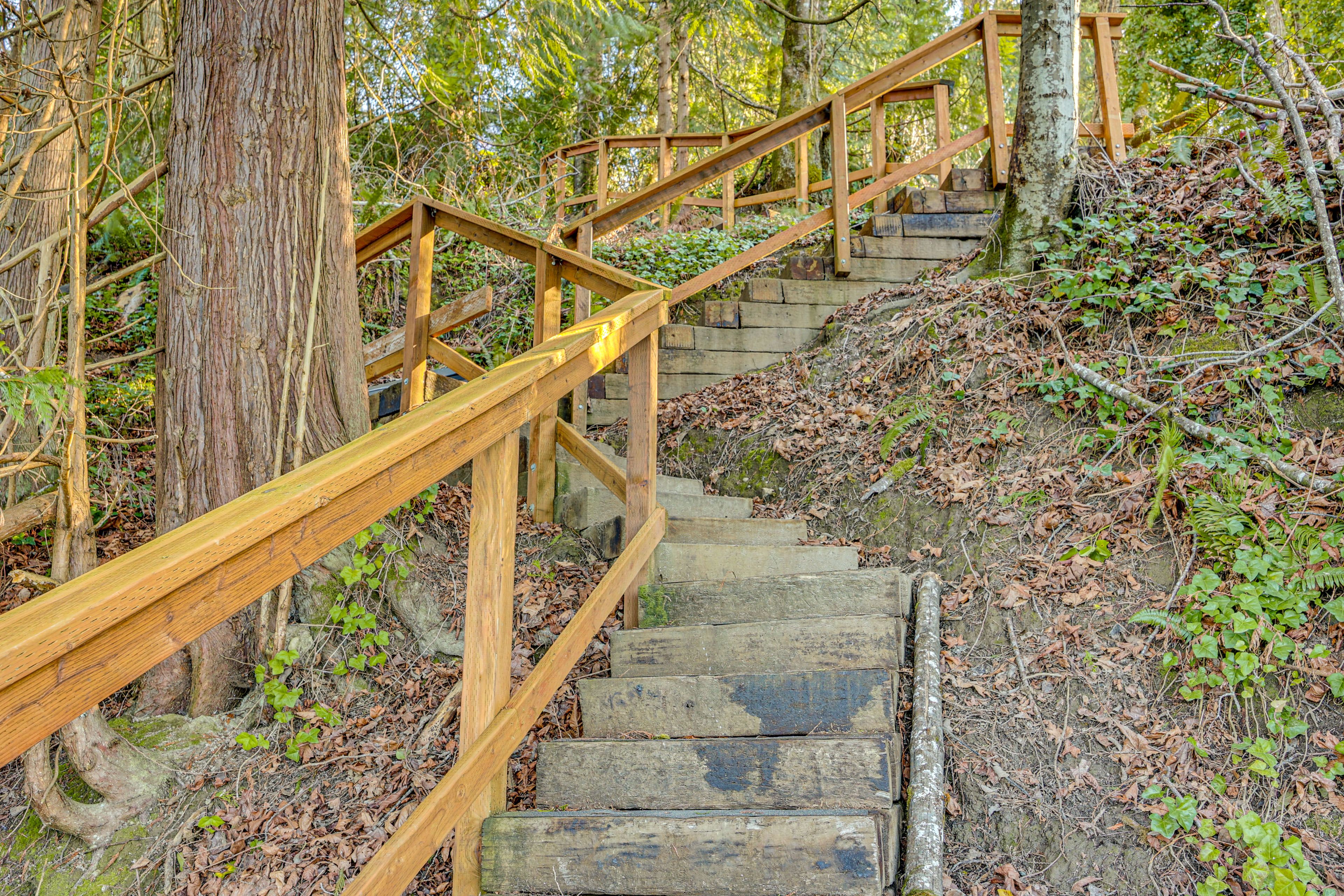 Shared Exterior Steps