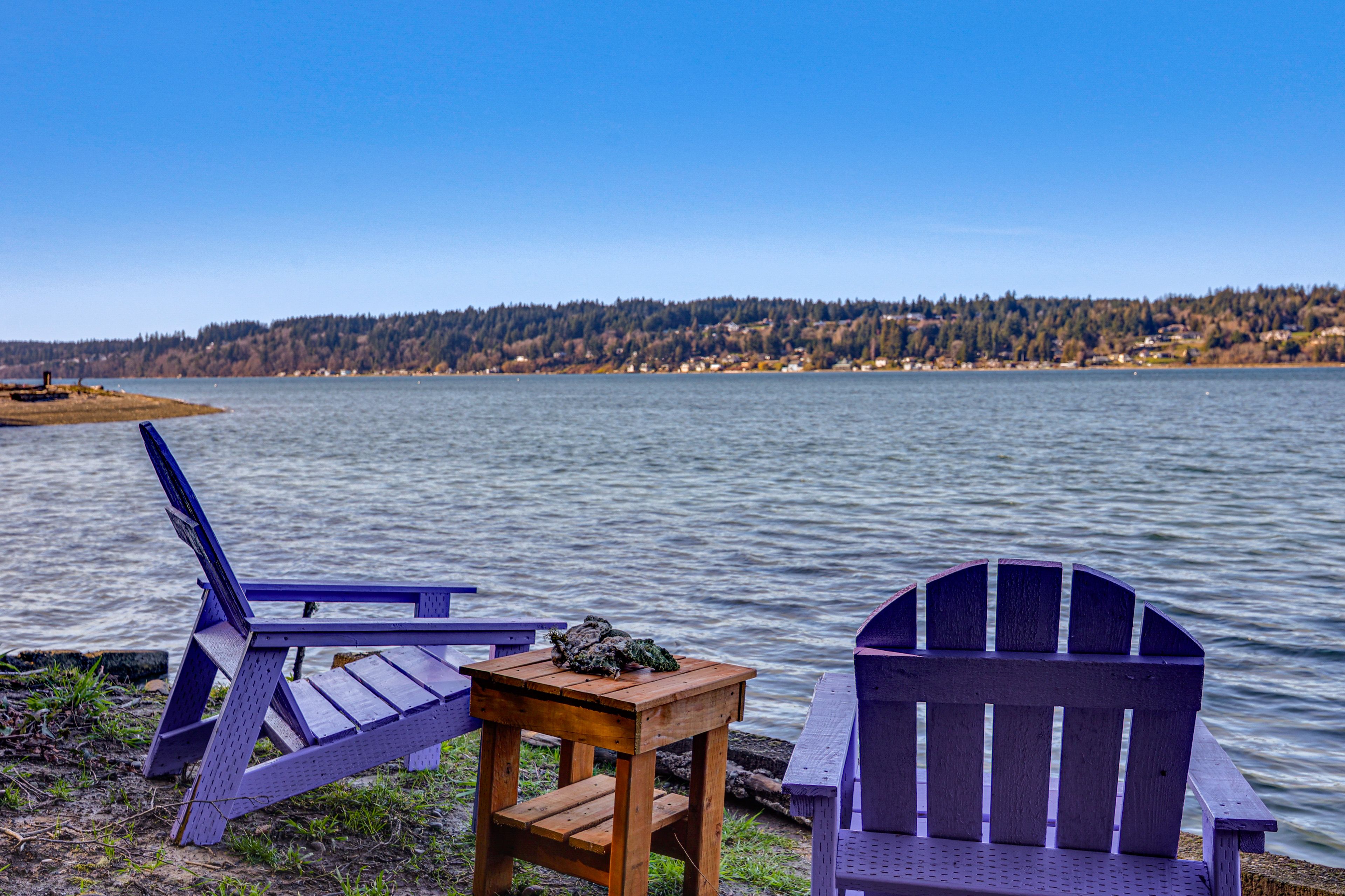 Gig Harbor Vacation Rental | Studio | 1BA | 300 Sq Ft