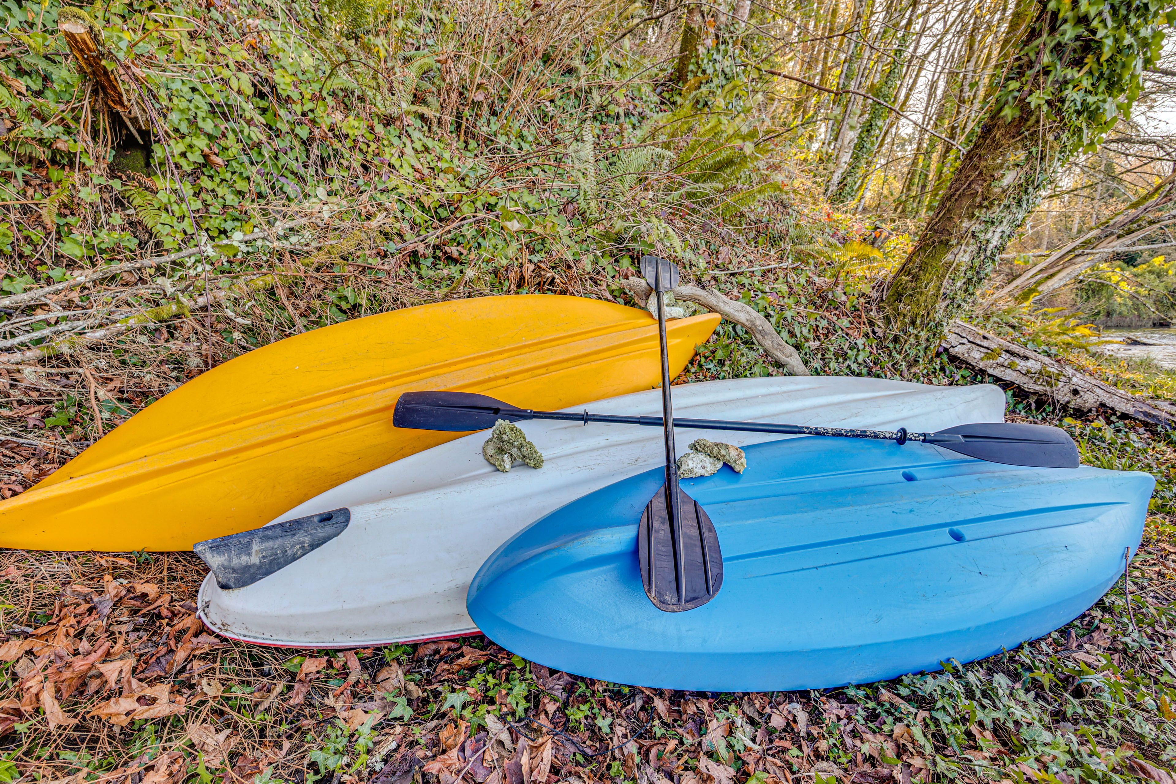 Shared Kayaks