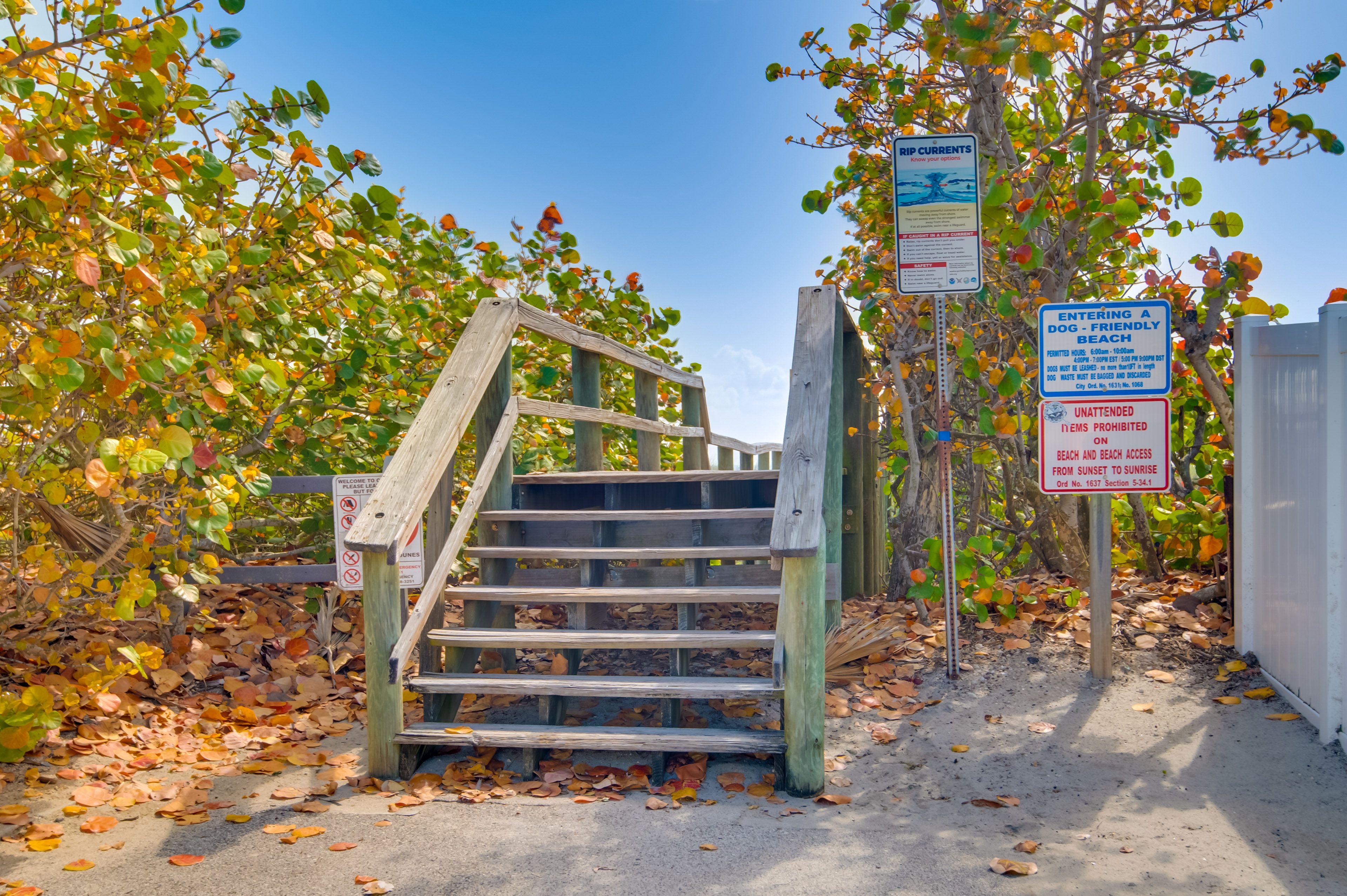 Beach Access