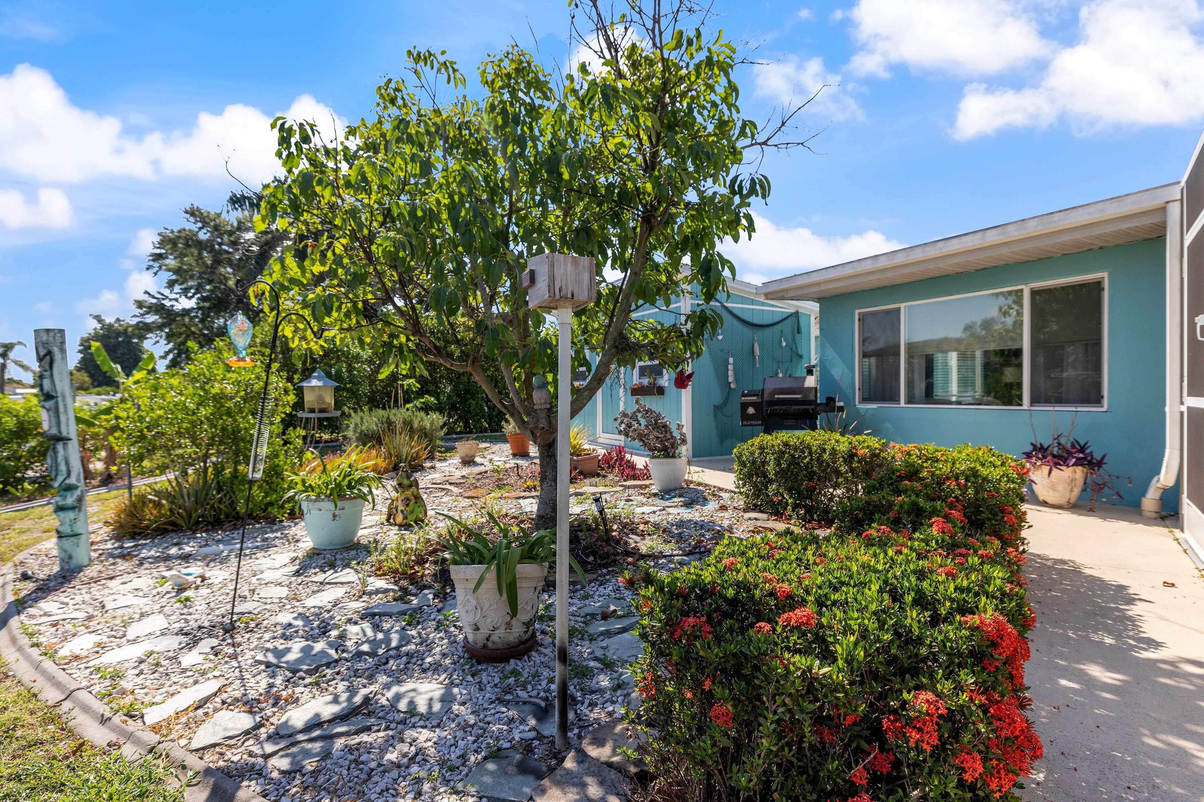 Backyard | Patio | Gas Grill