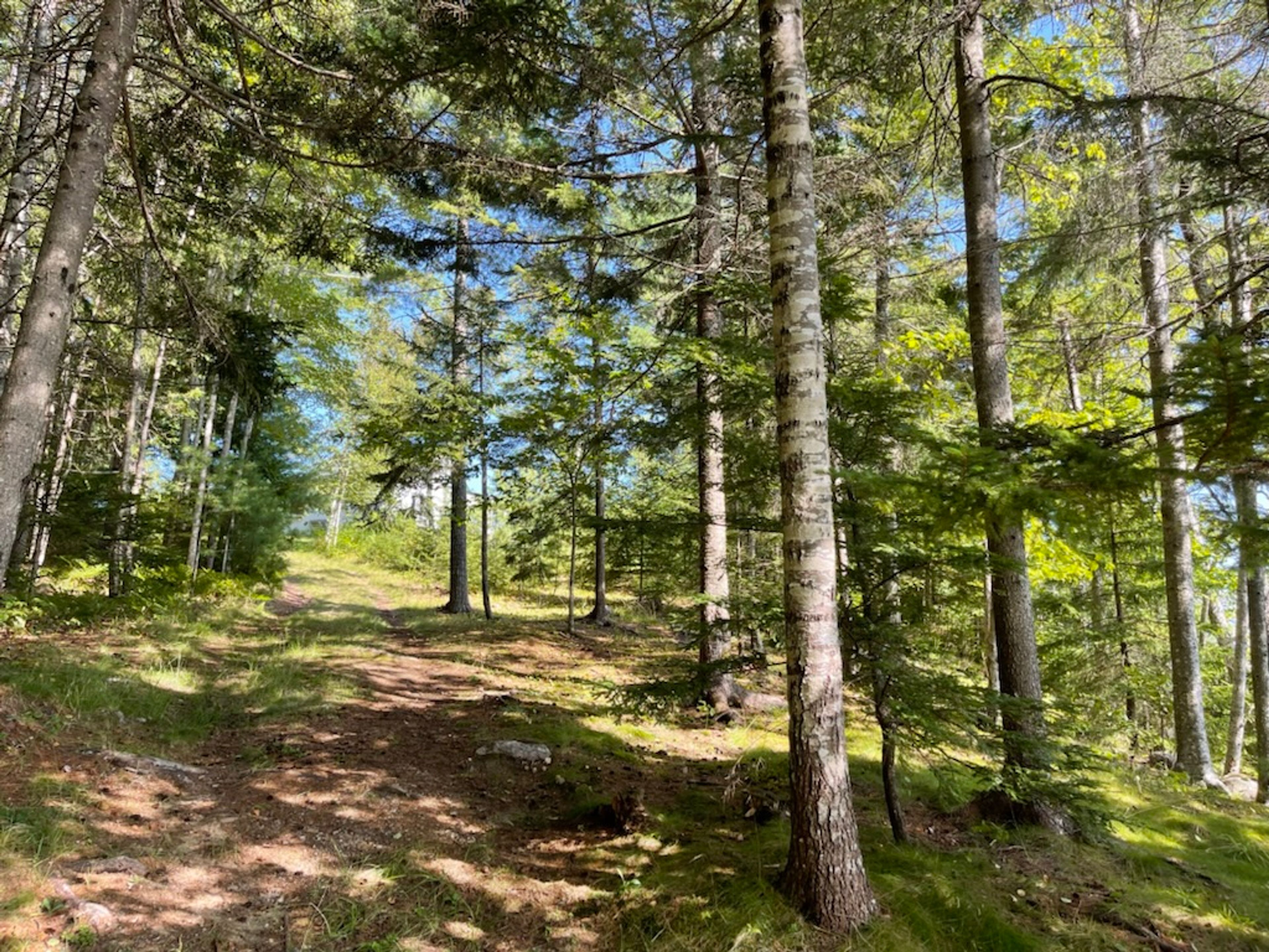 Parking | Driveway (5 Vehicles)