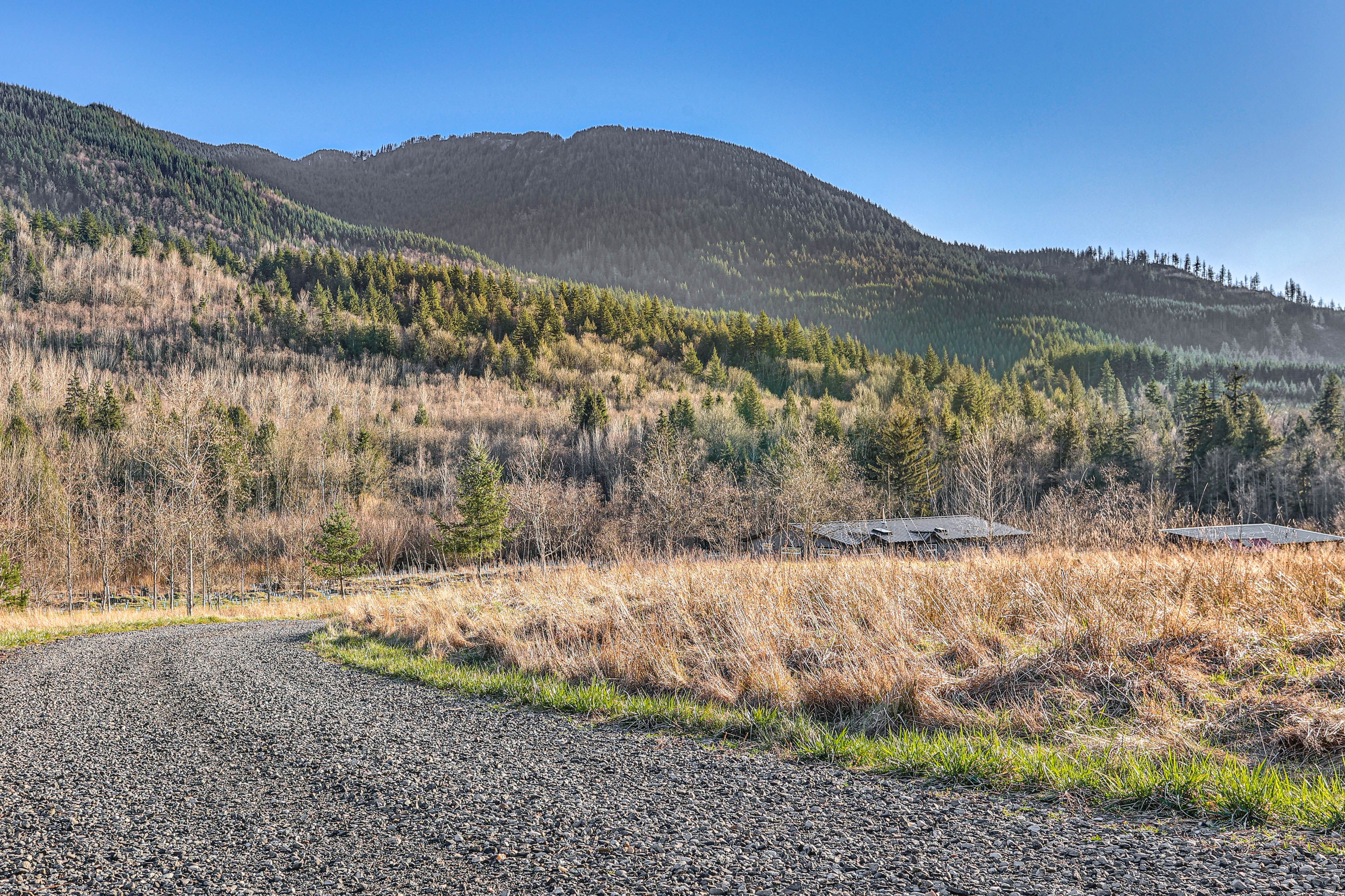 Surrounding Property | On-Site Trails & Creek