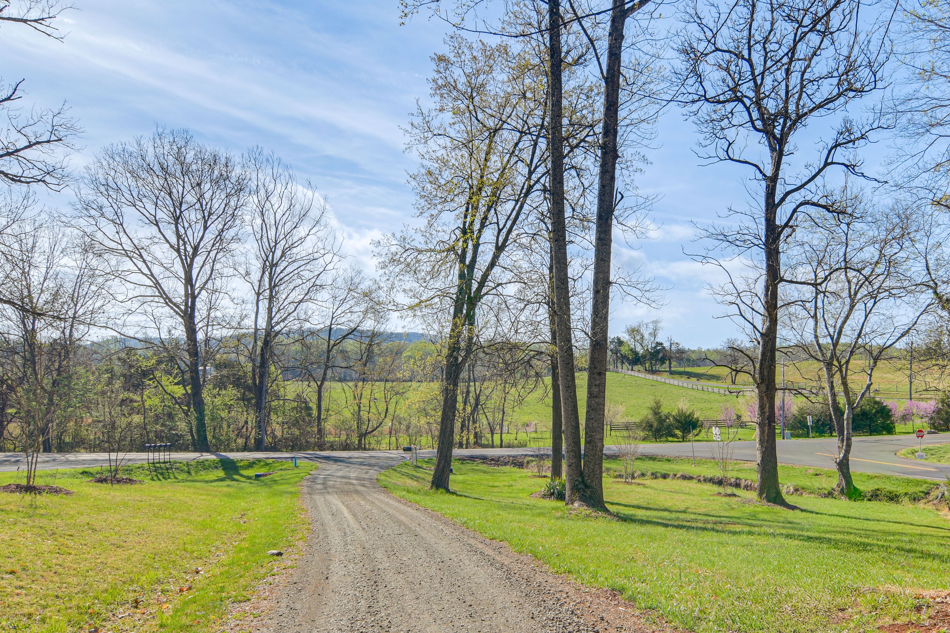 Parking | Driveway (2 Vehicles)