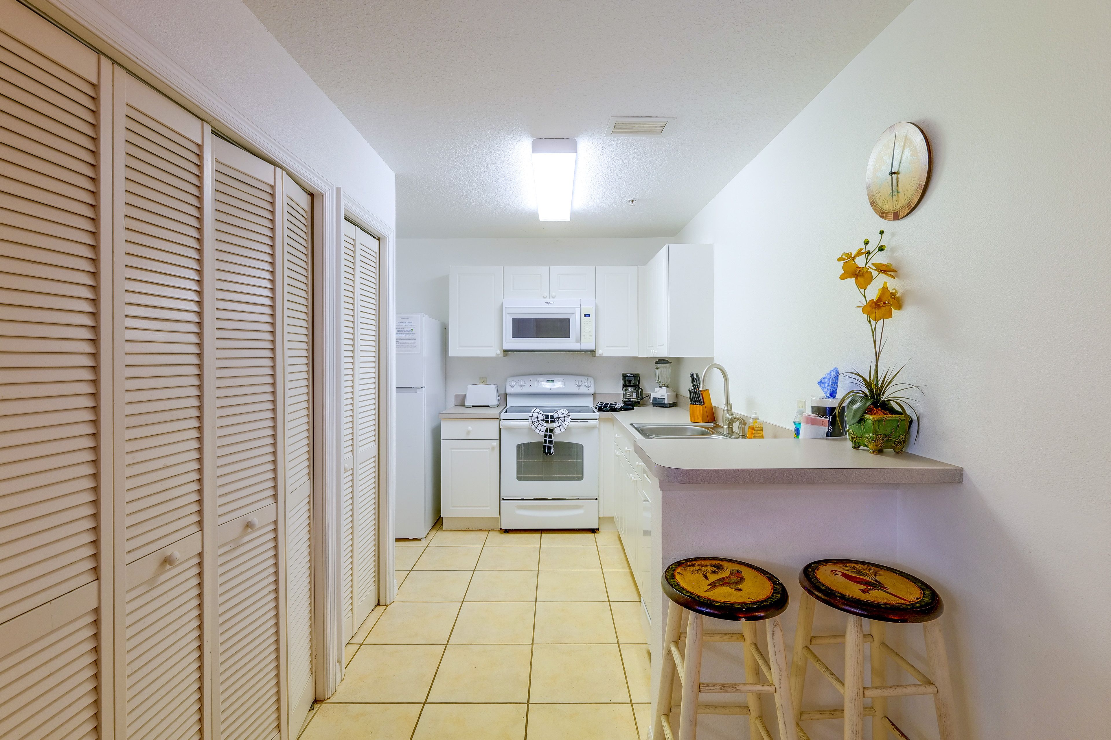 Kitchen | Cooking Basics | Blender | Drip Coffee Maker