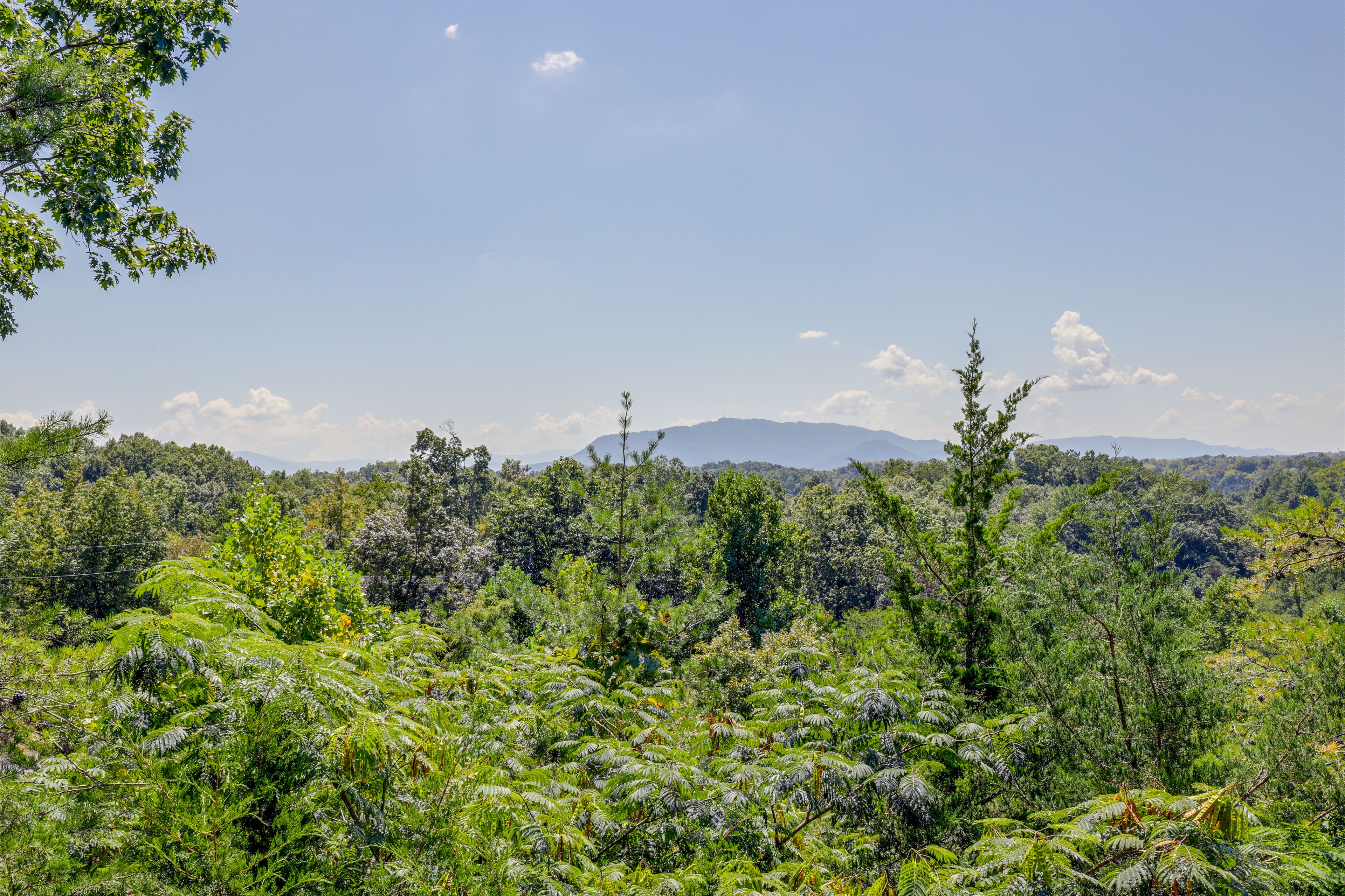 Mountain Views