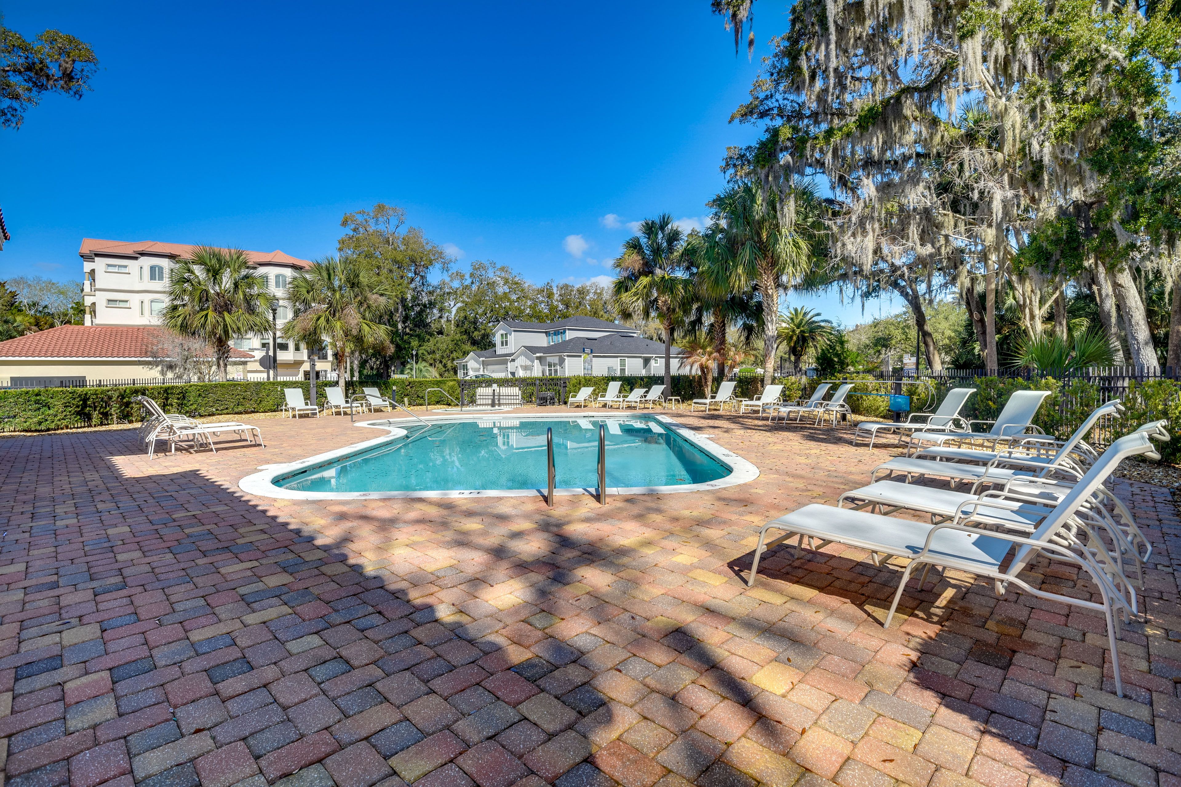 Hammock at Palm Harbor | Community Pool