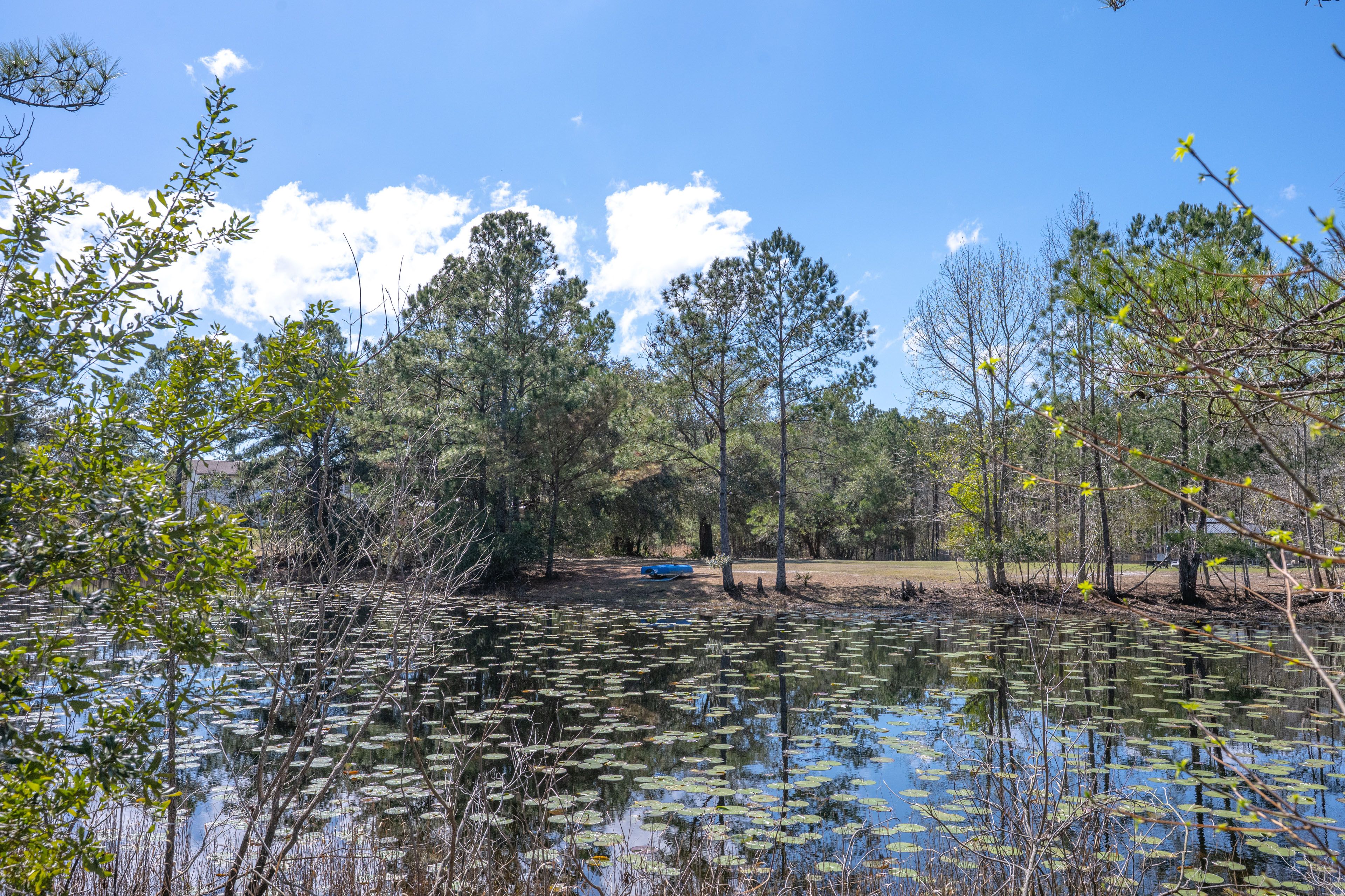 Image 24