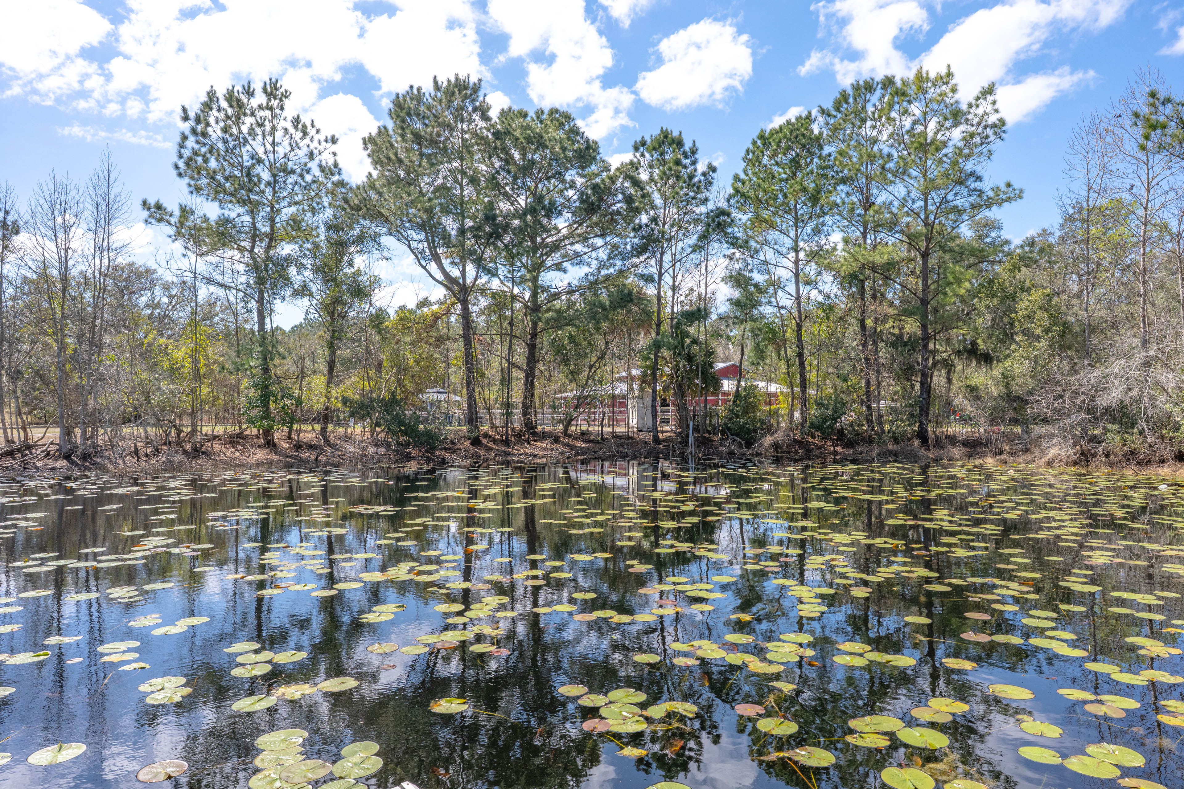 Pond View & Access