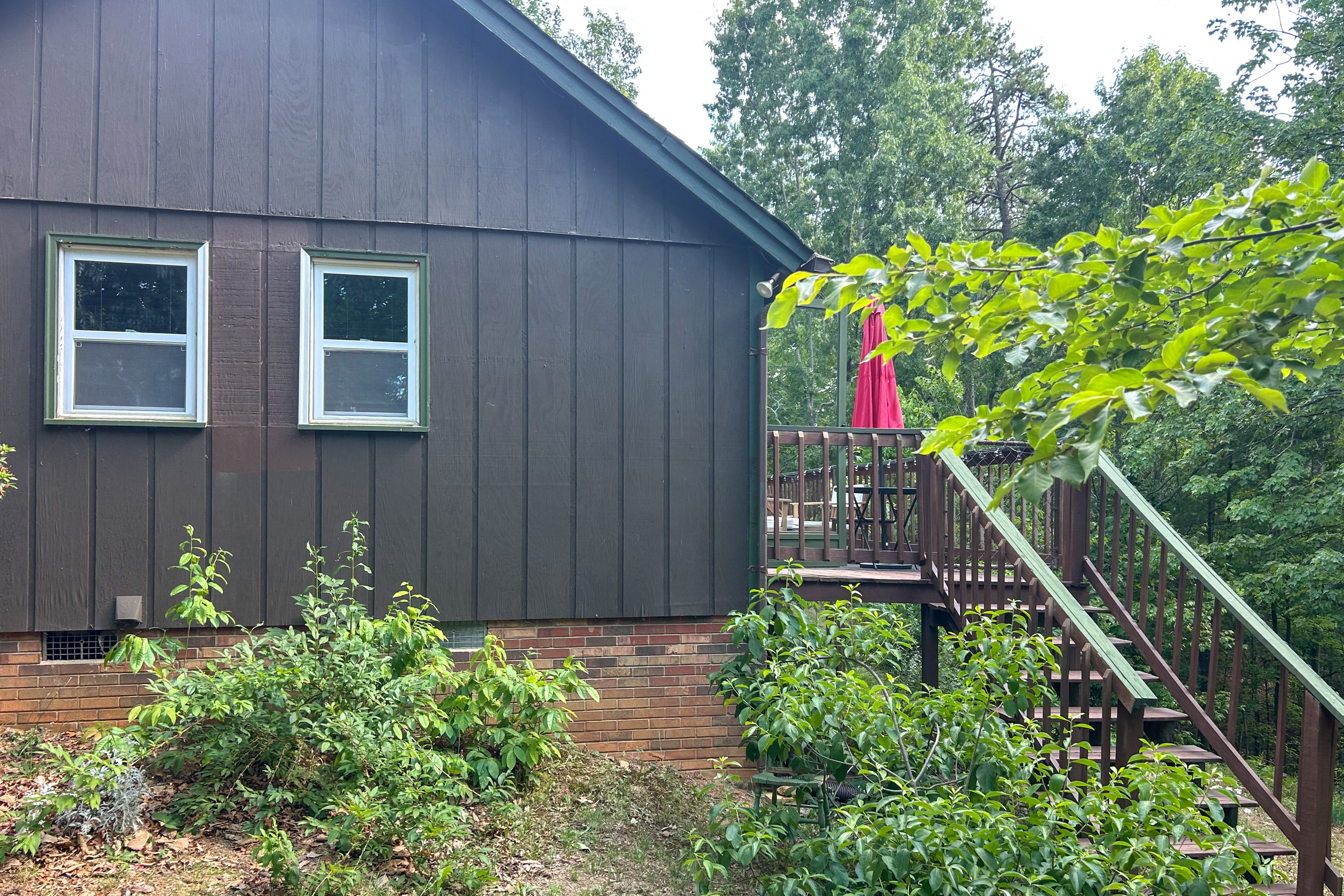 Image 19