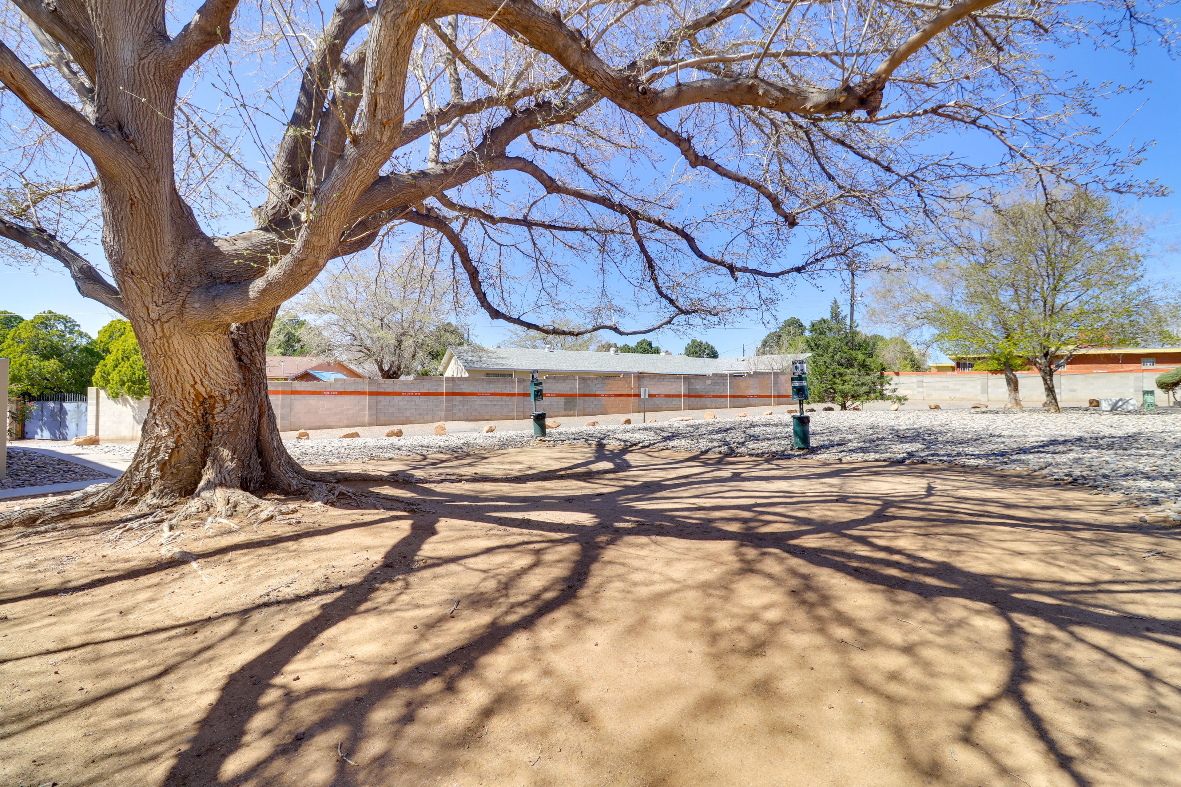 Del Sol Condominiums | Community Amenities | Dog Park