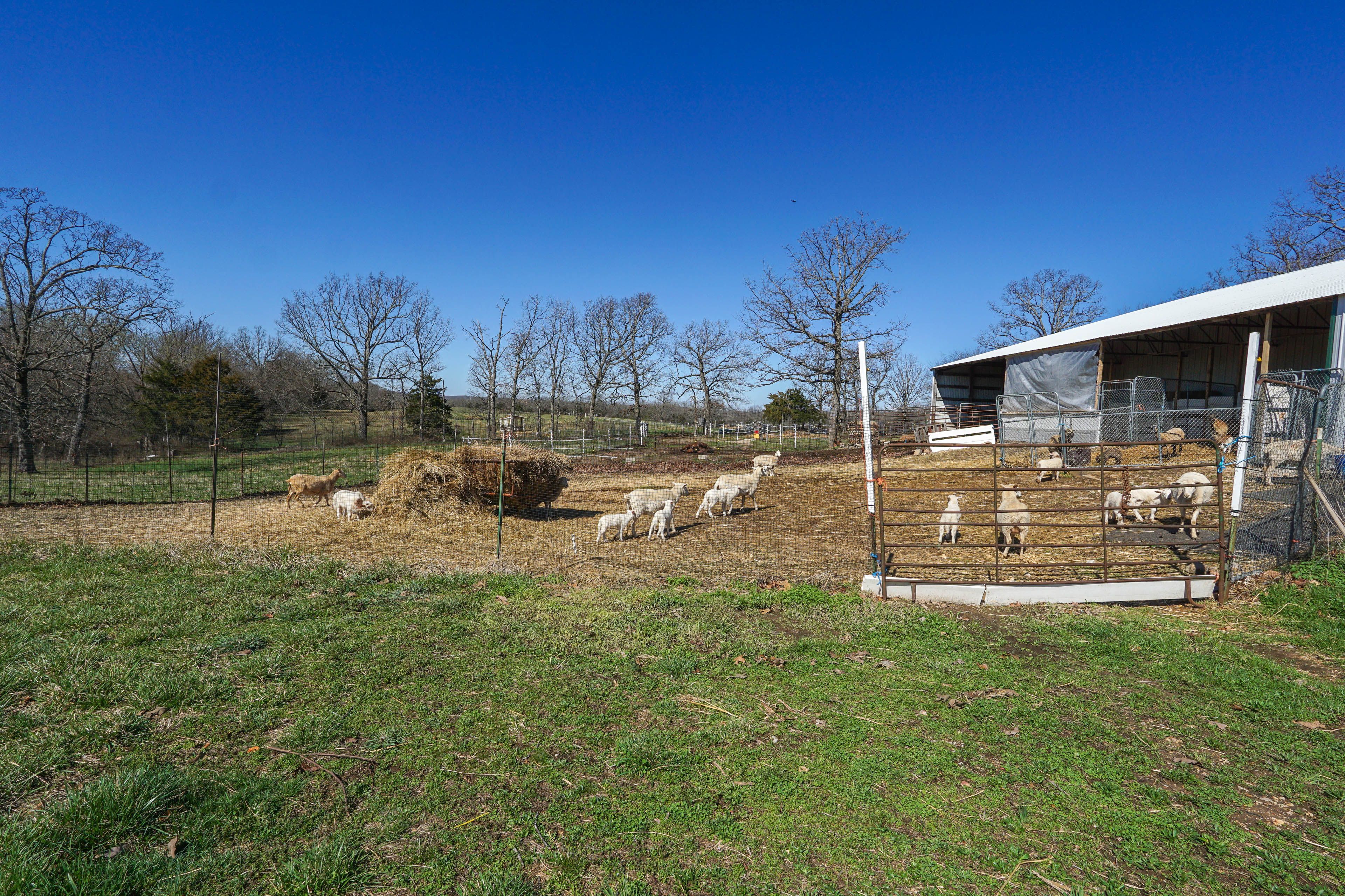 Destination Impact | Community Amenities