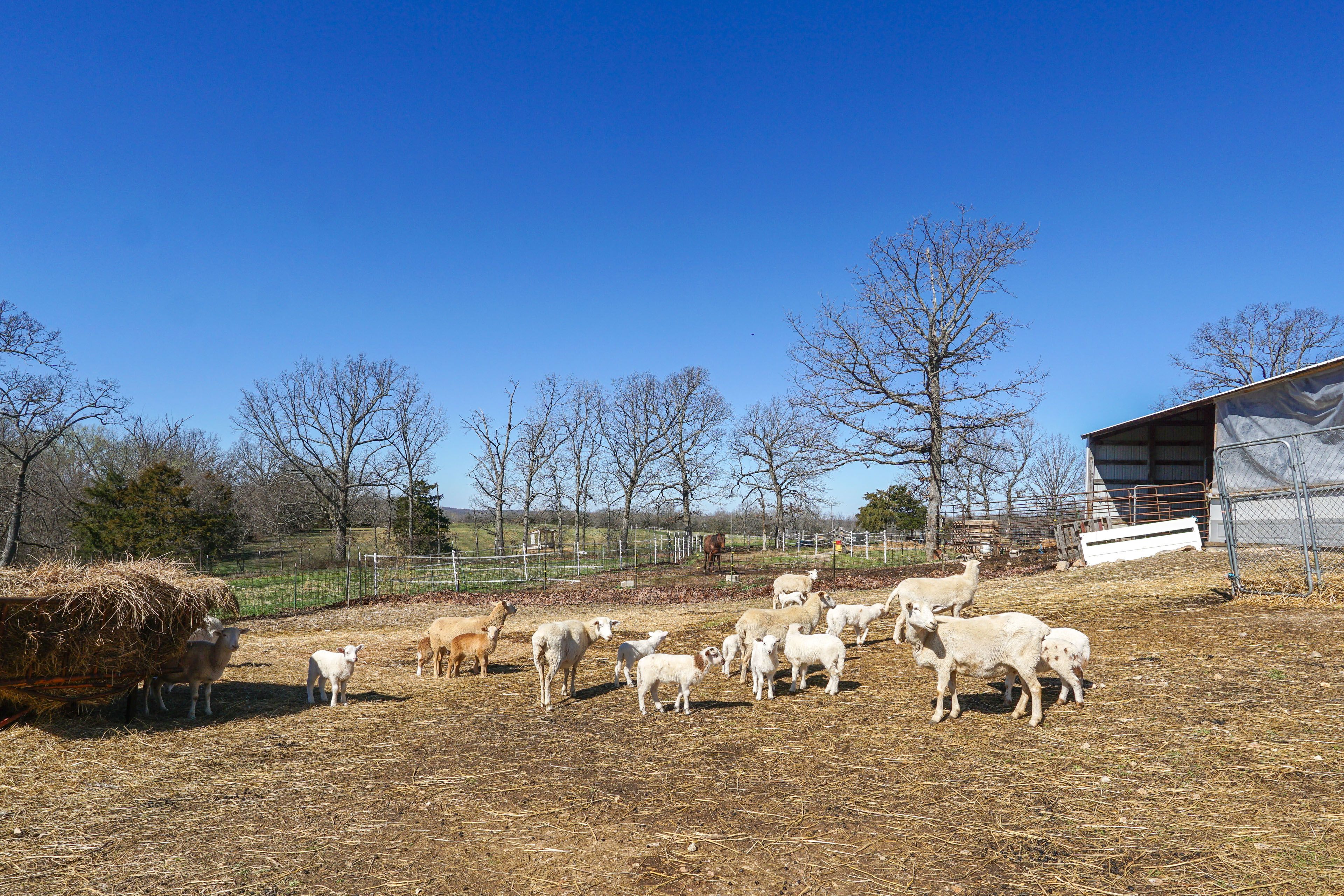 Destination Impact | Community Amenities