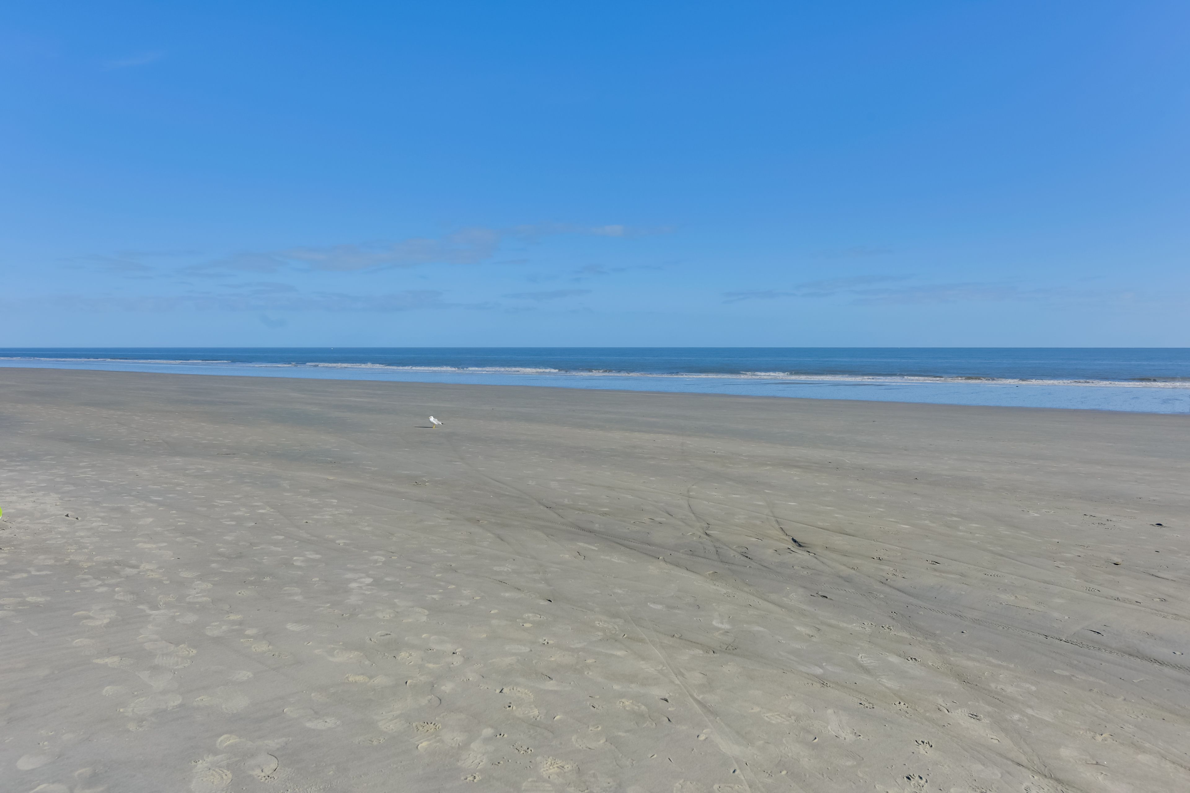 Coligny Beach Park On-Site