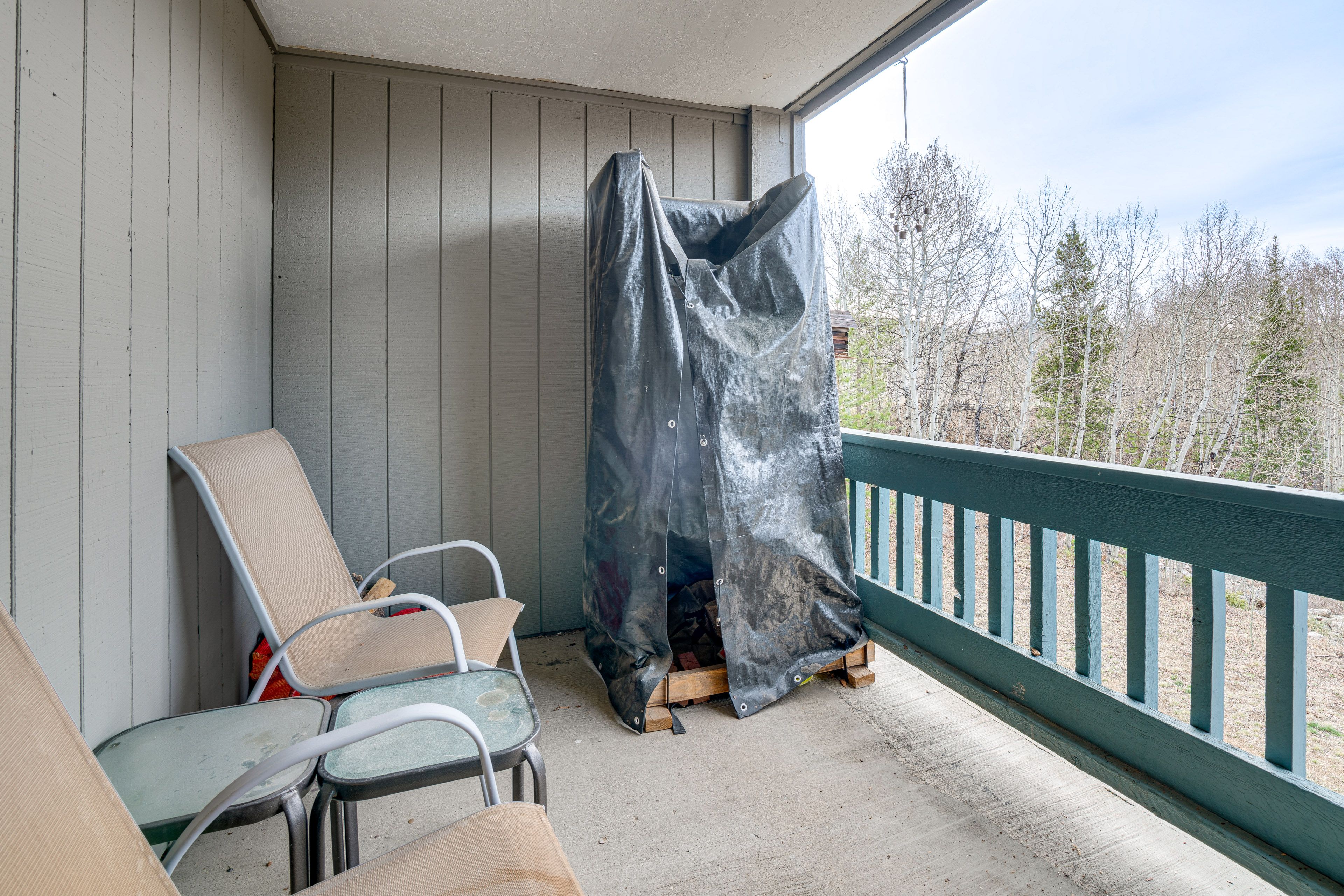 Private Balcony w/ Wooded Views