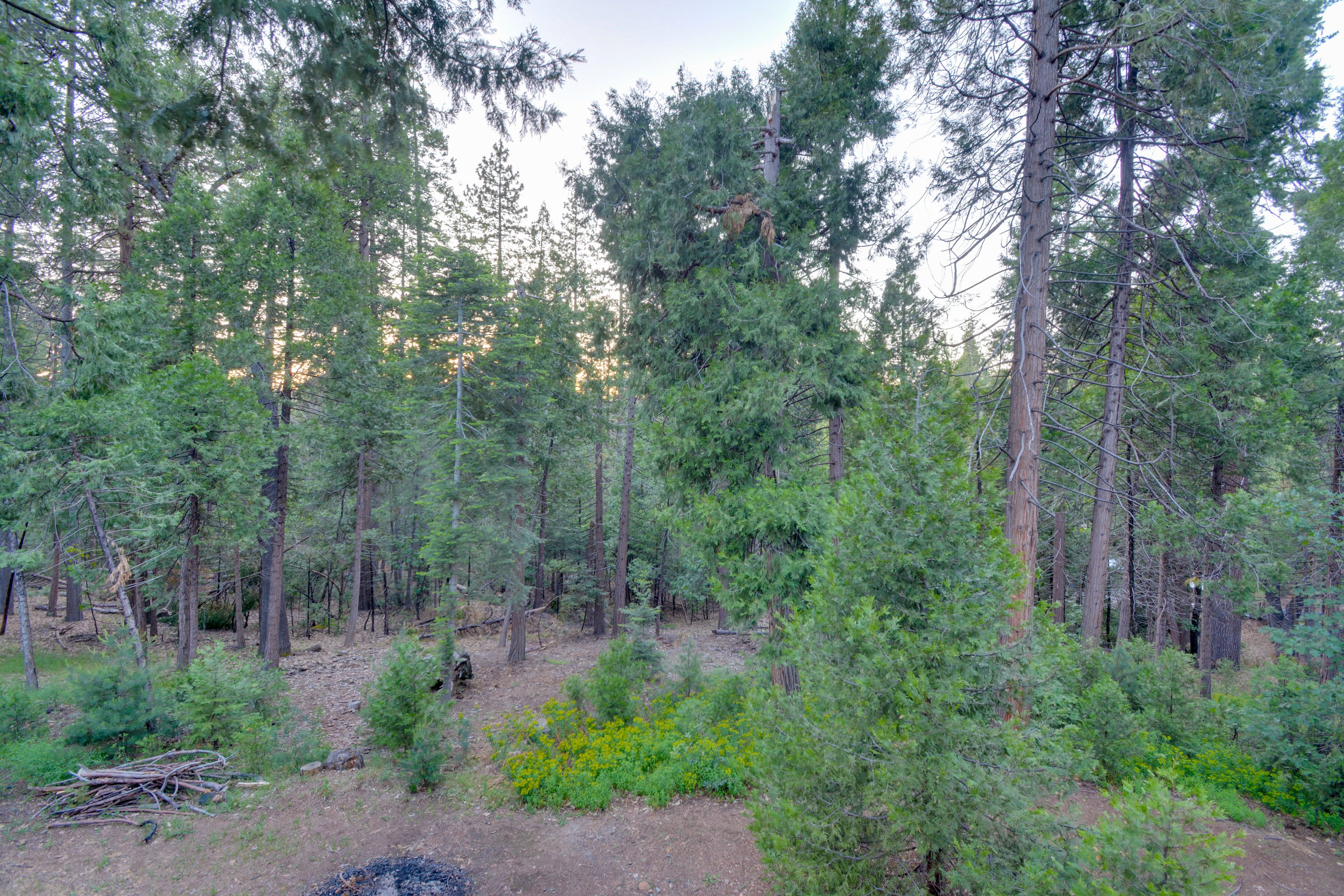 Property Views