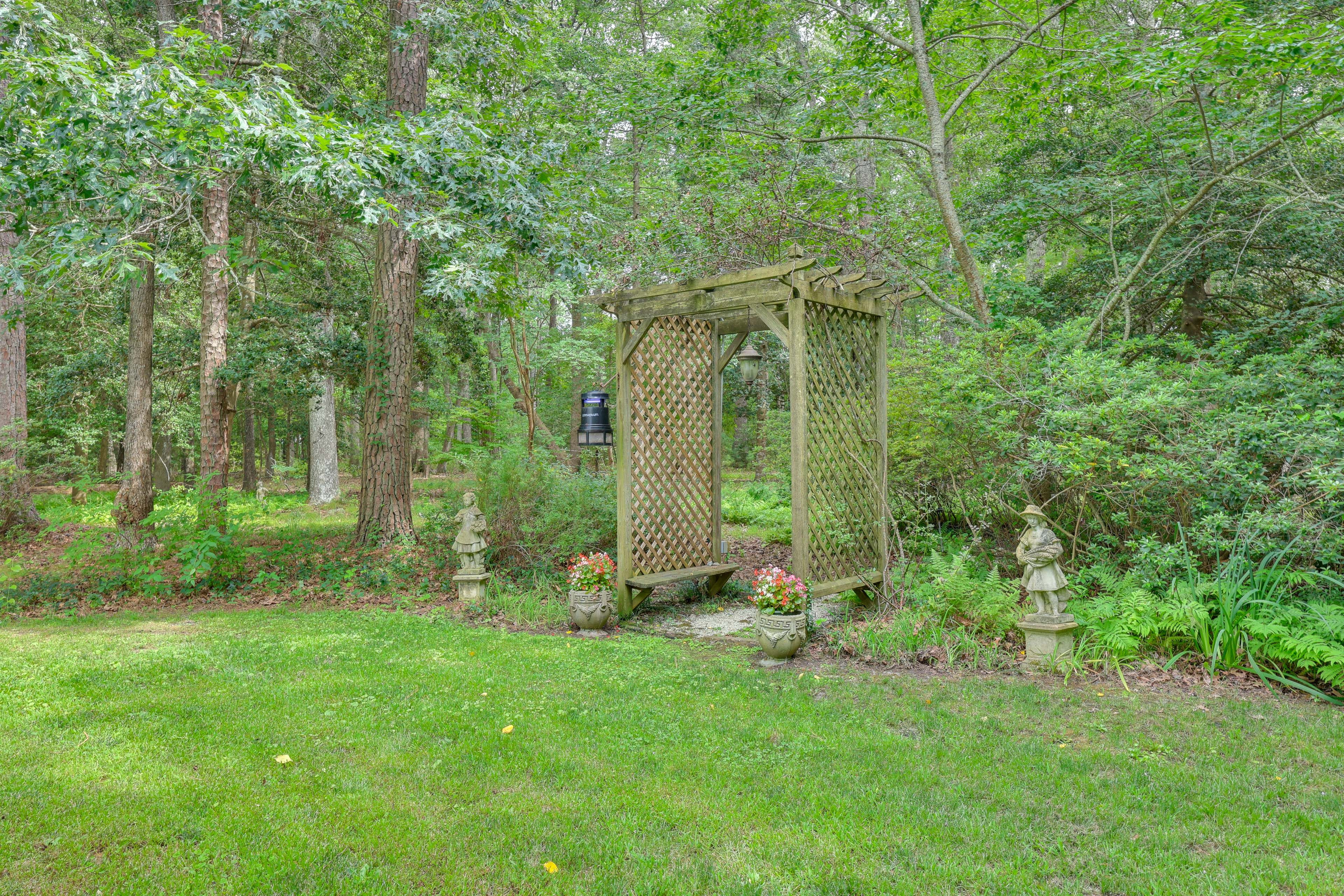 Image 29