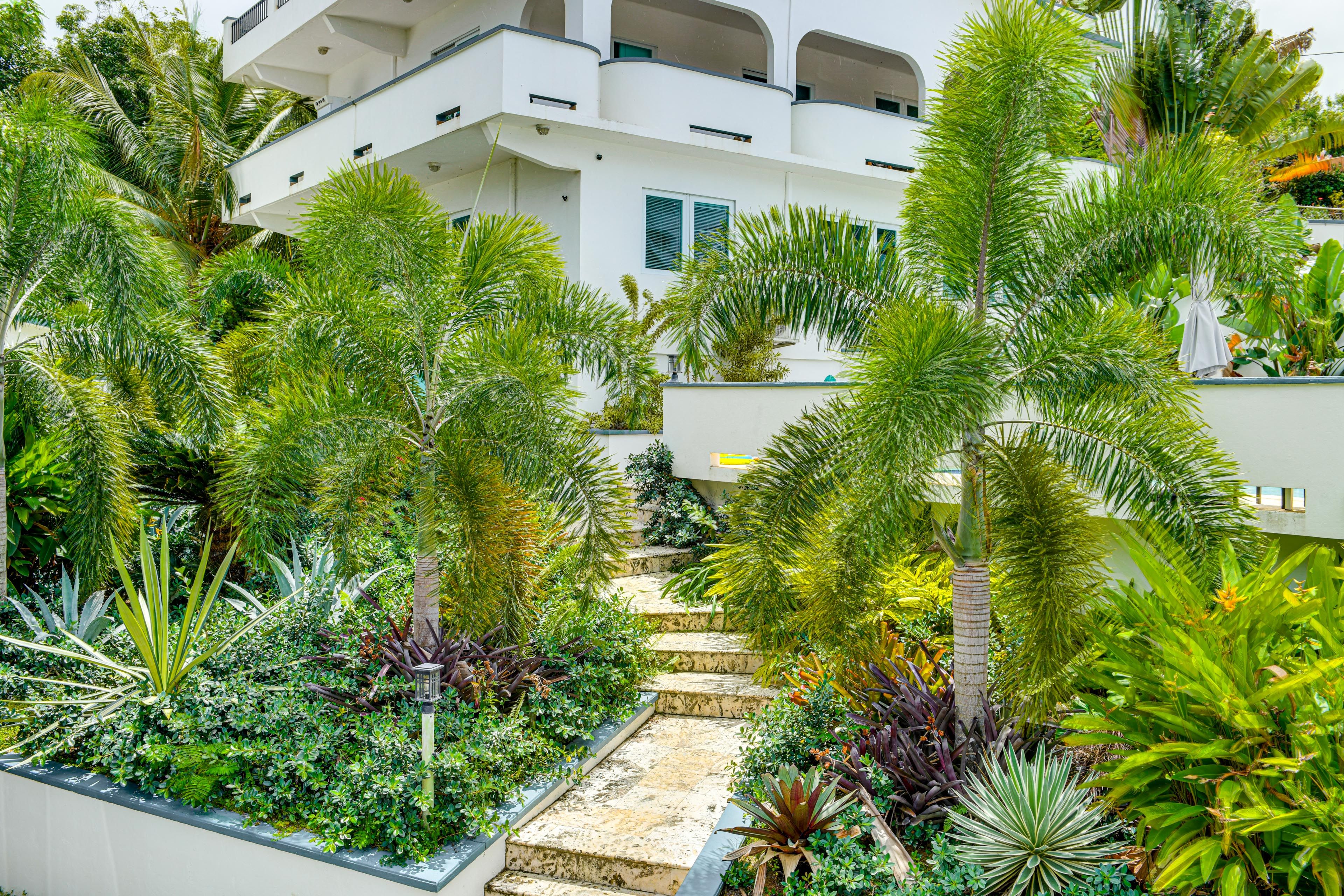 Casa Alta | Shared Outdoor Amenities