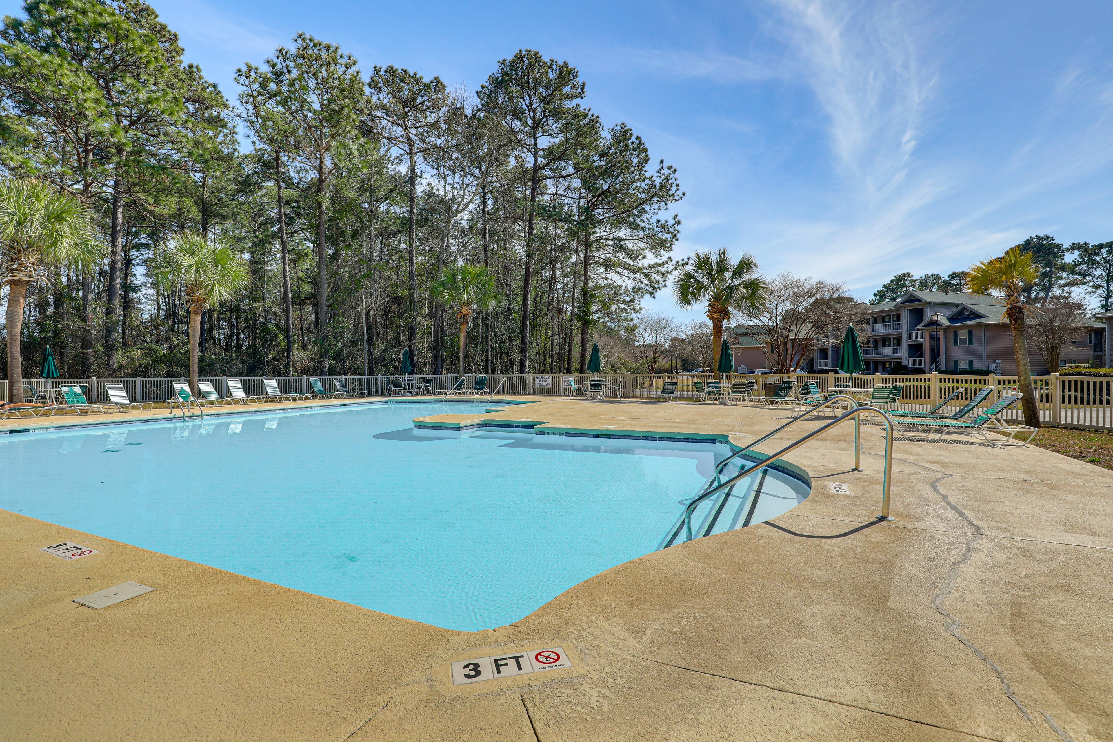 Community Pool | True Blue