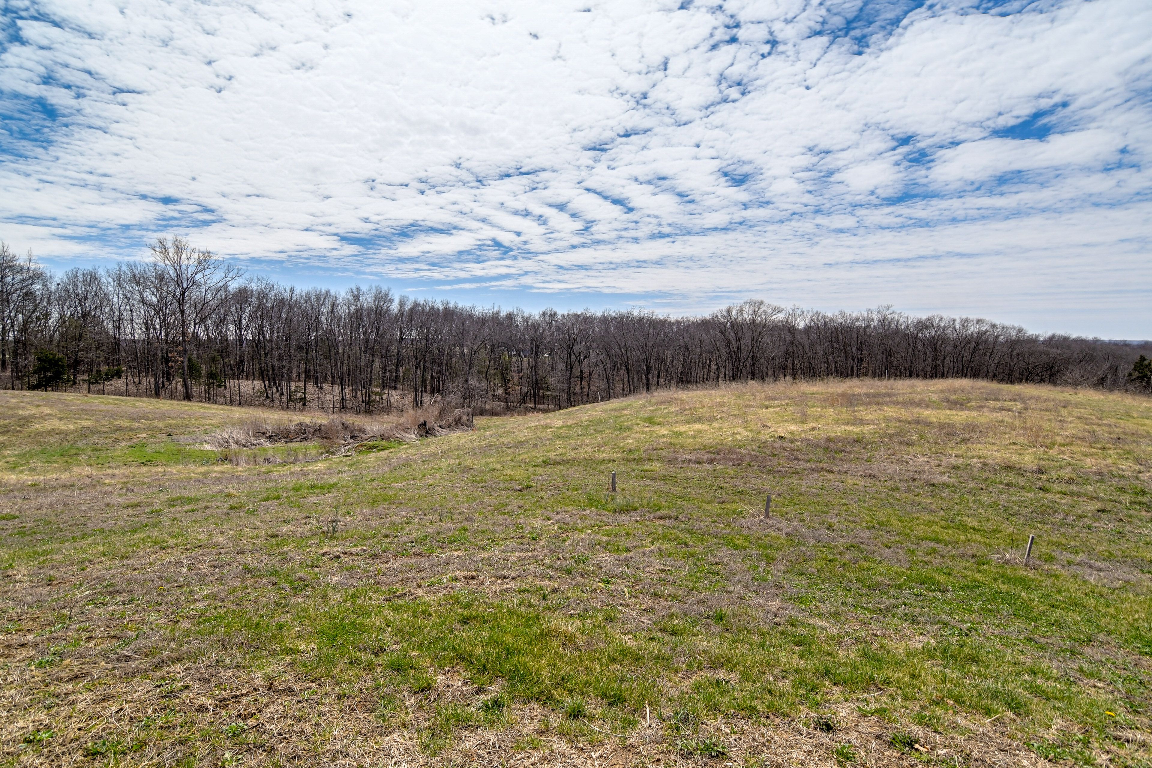 Surrounding Acreage