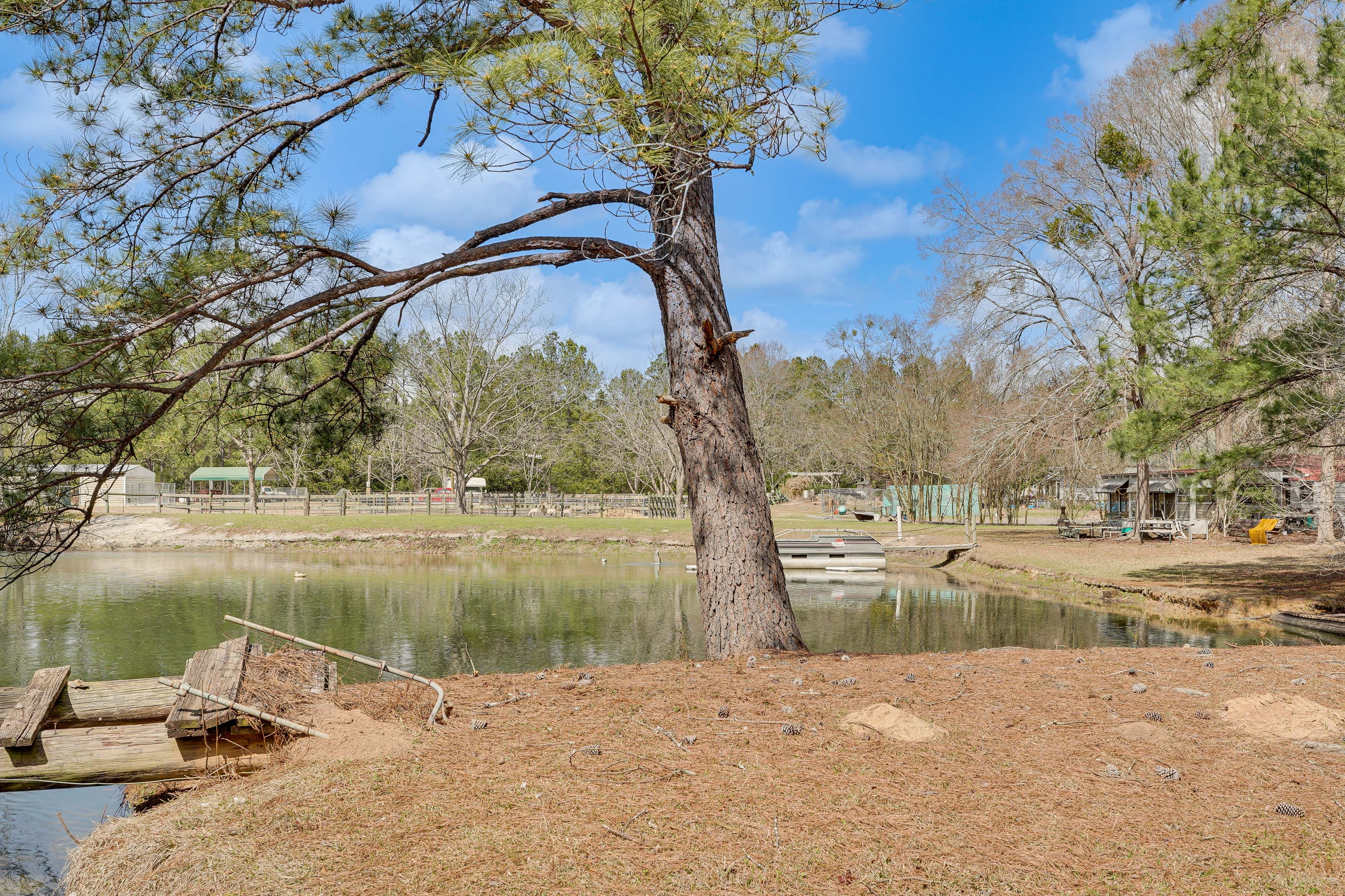 Jackson Branch Creek Access (On-Site)